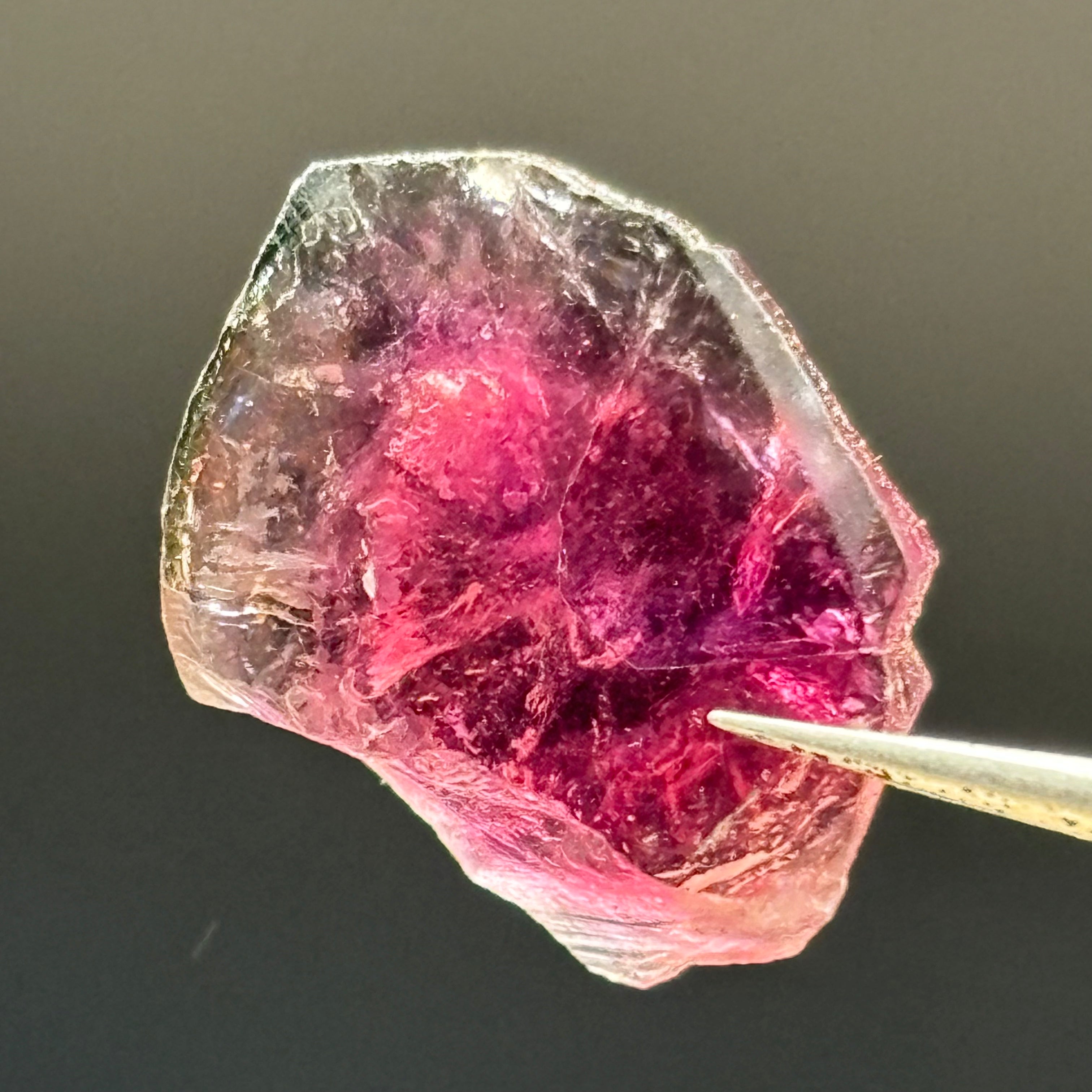 Watermelon Tourmaline Crystal Slice - 017