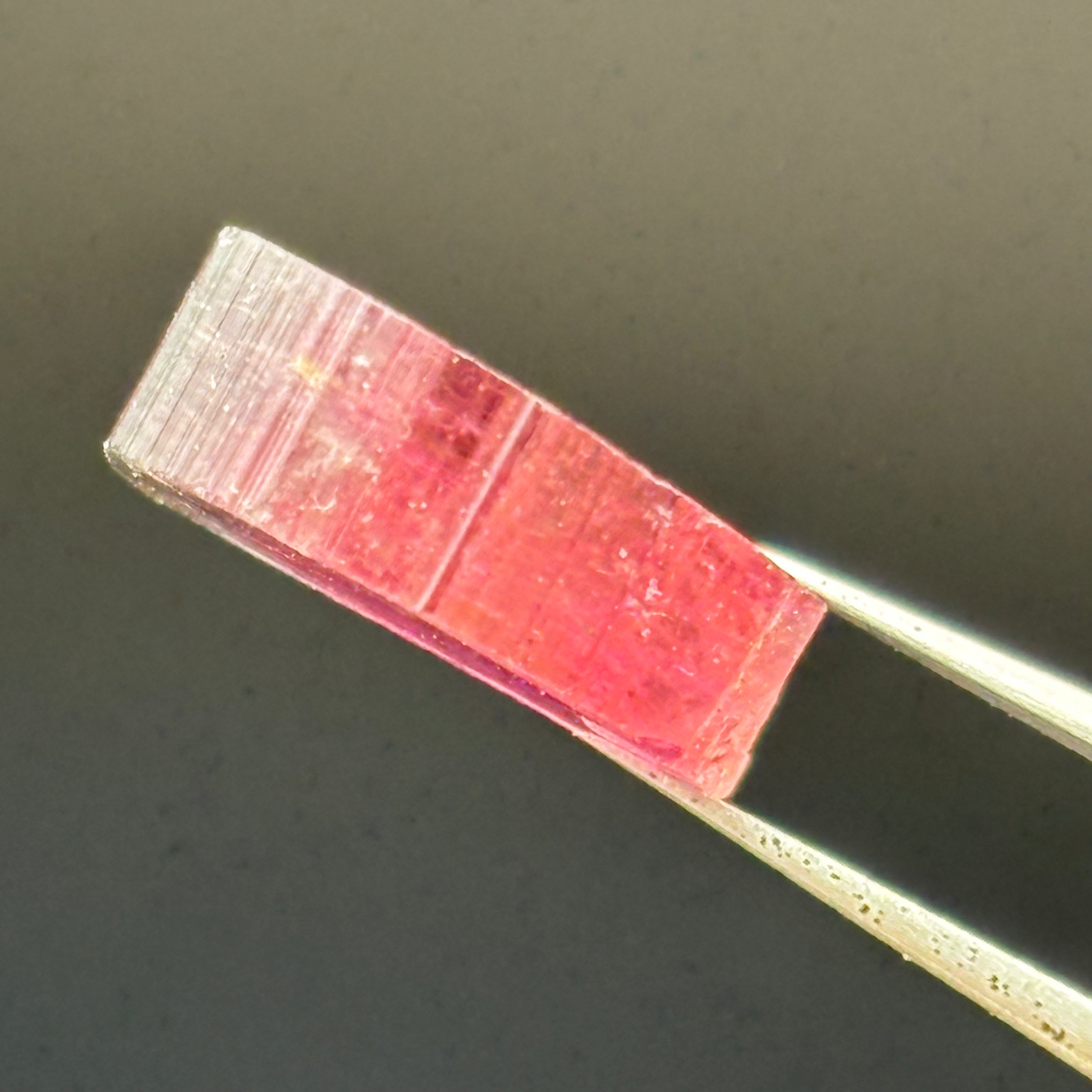Watermelon Tourmaline Crystal Slice - 017