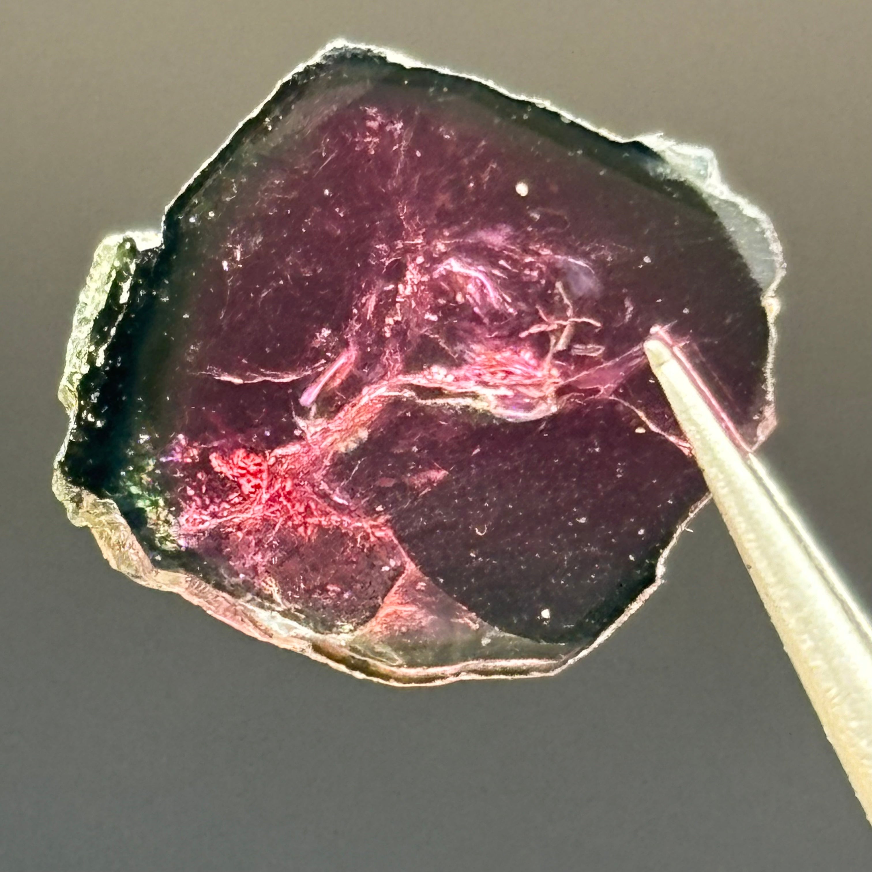 Watermelon Tourmaline Crystal Slice - 018