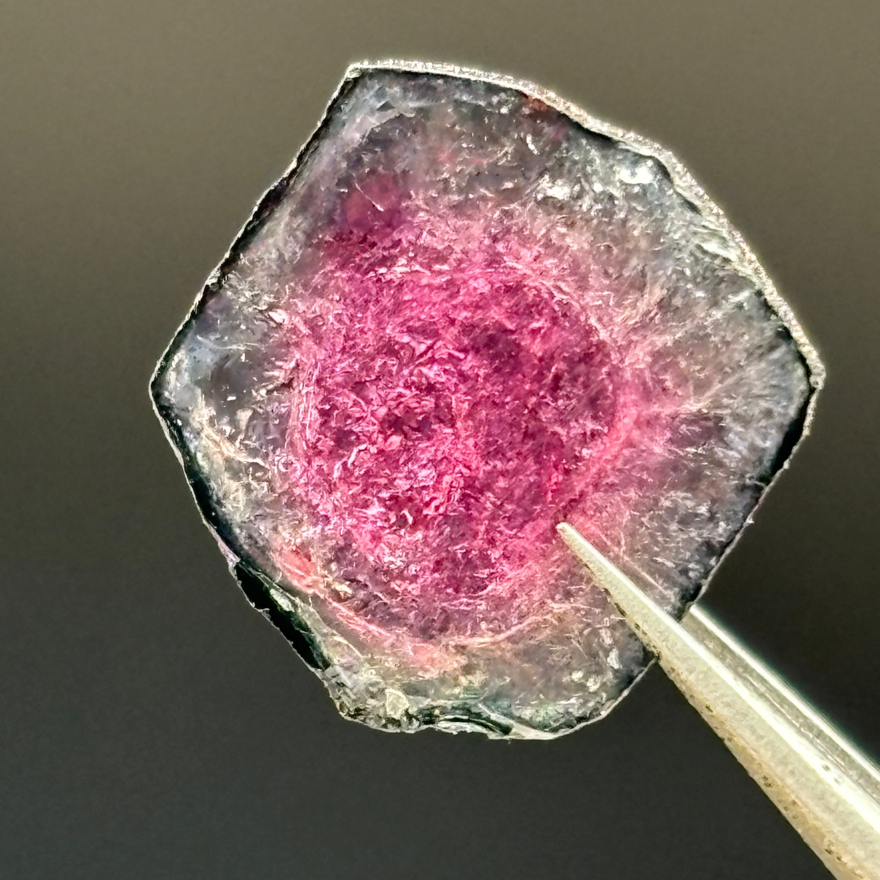 Watermelon Tourmaline Crystal Slice - 019