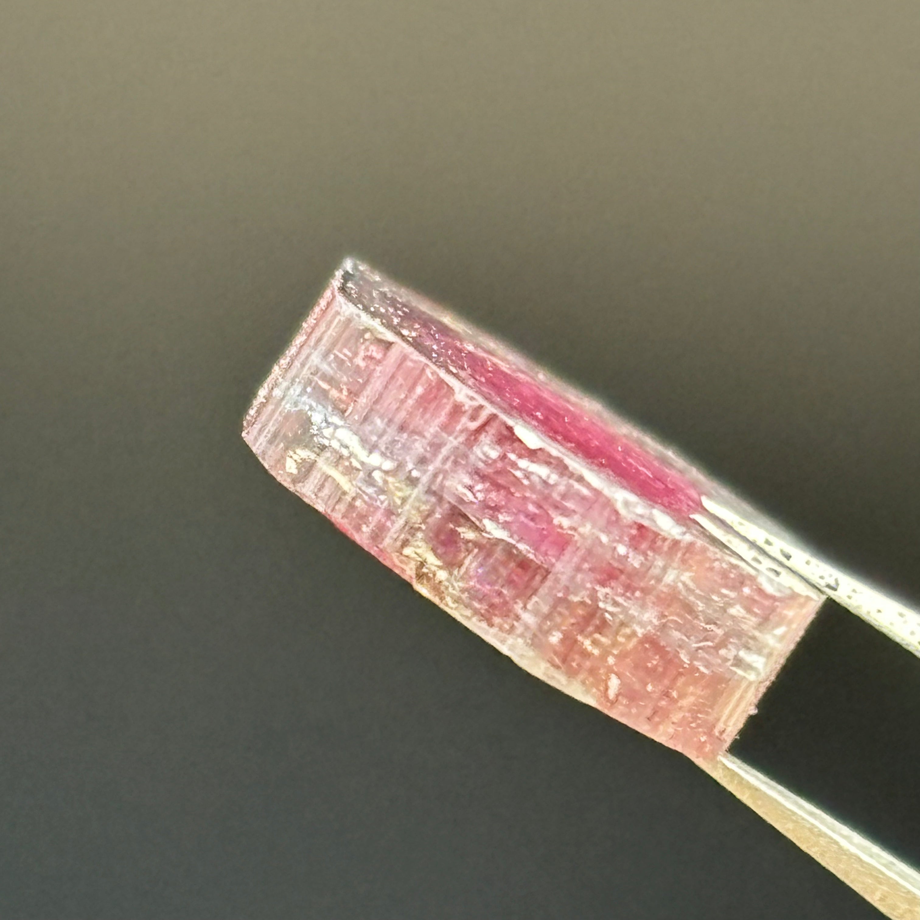Watermelon Tourmaline Crystal Slice - 019