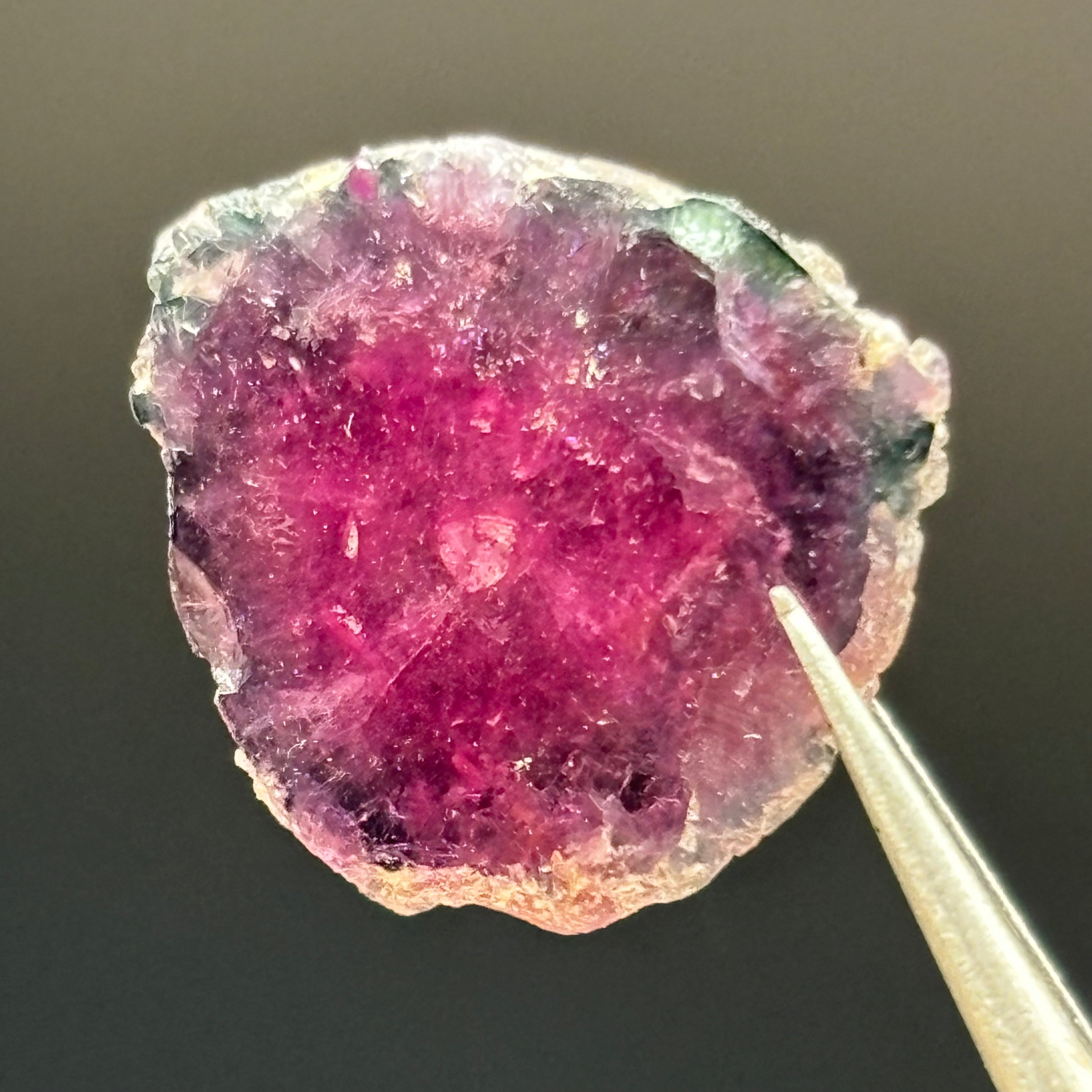 Watermelon Tourmaline Crystal Slice - 020