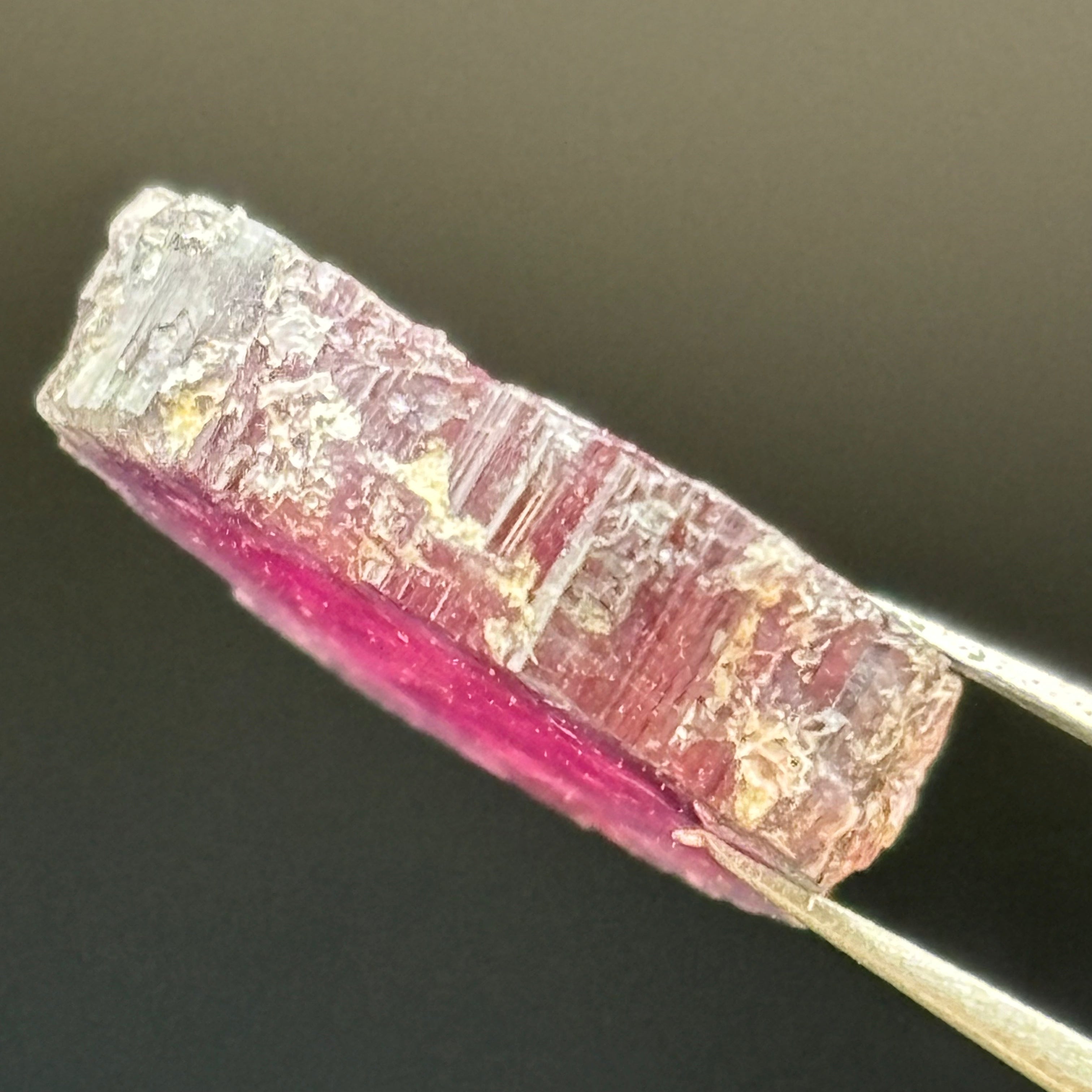 Watermelon Tourmaline Crystal Slice - 020