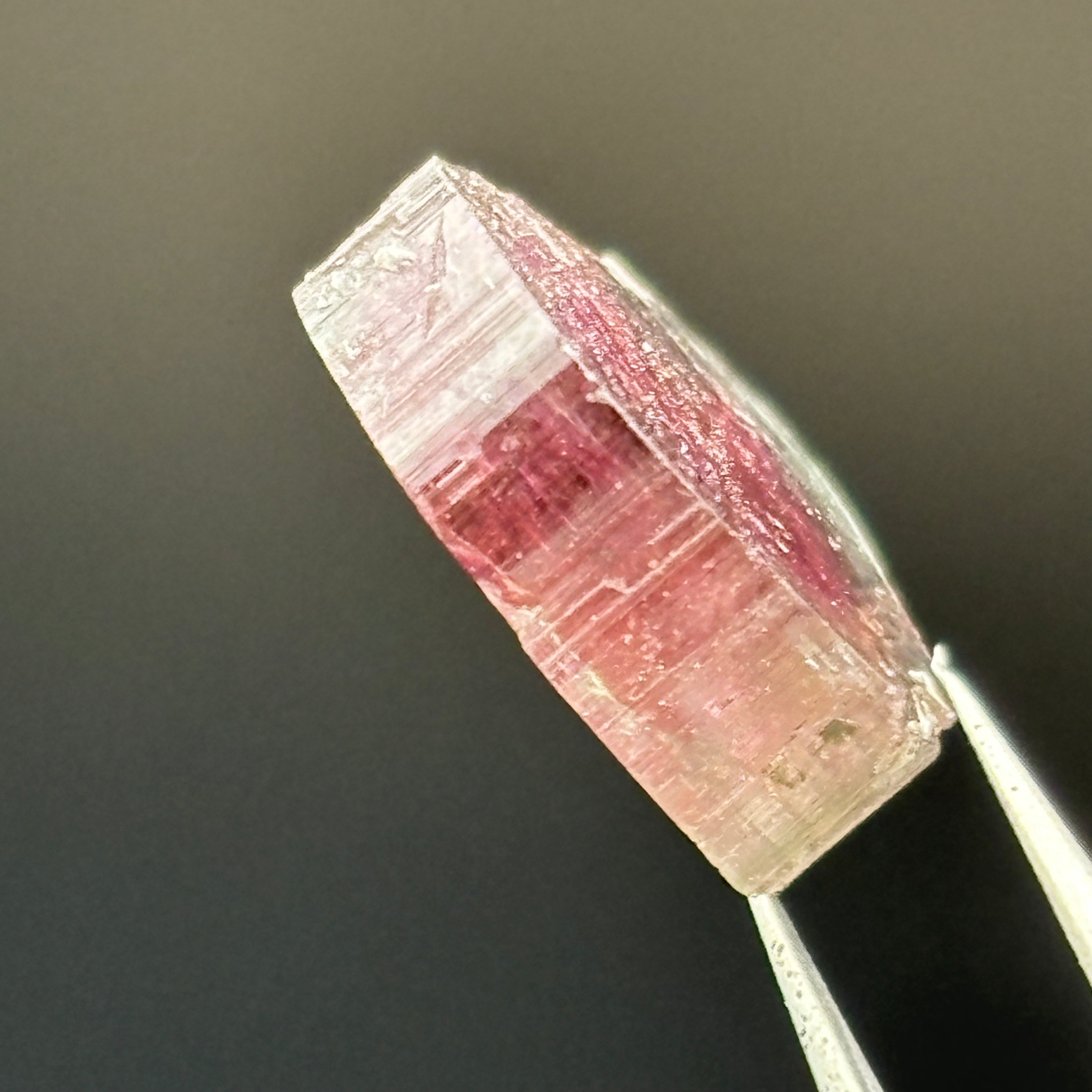 Watermelon Tourmaline Crystal Slice - 021
