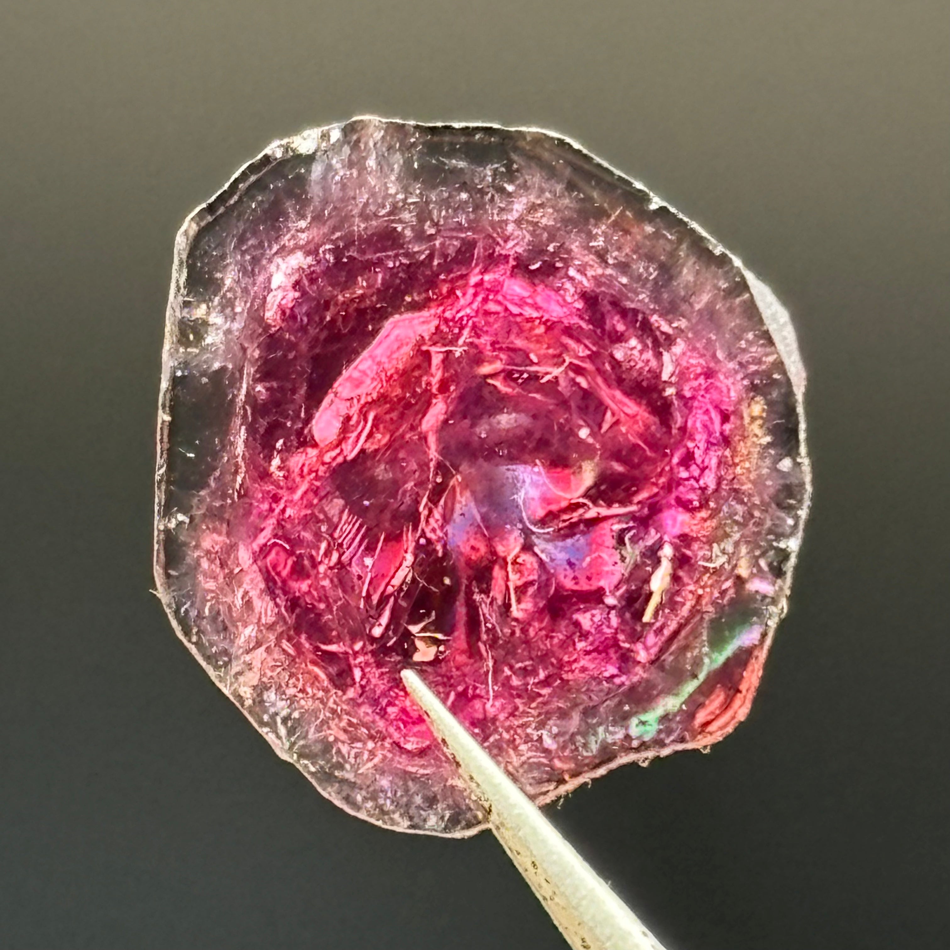 Watermelon Tourmaline Crystal Slice - 022