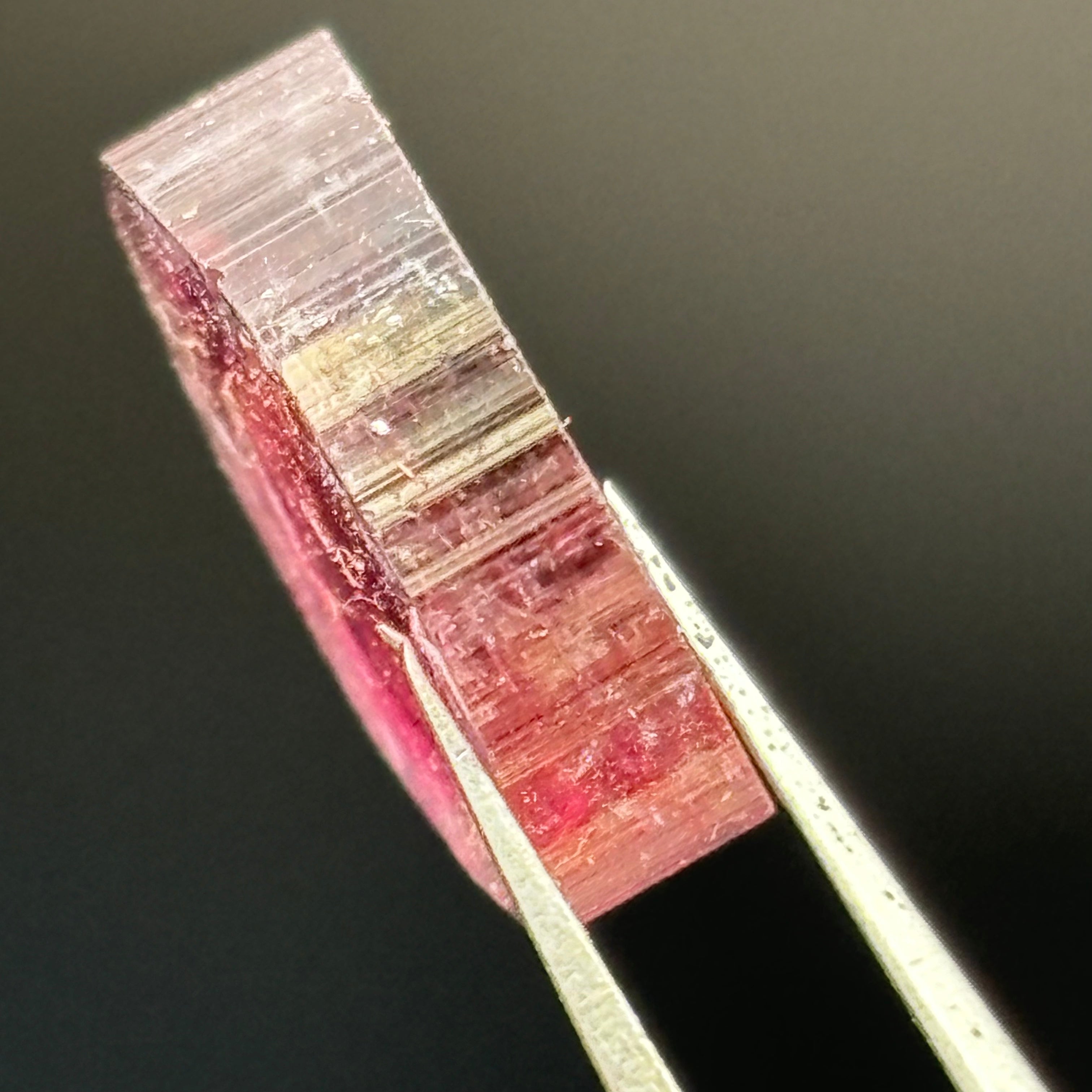 Watermelon Tourmaline Crystal Slice - 022