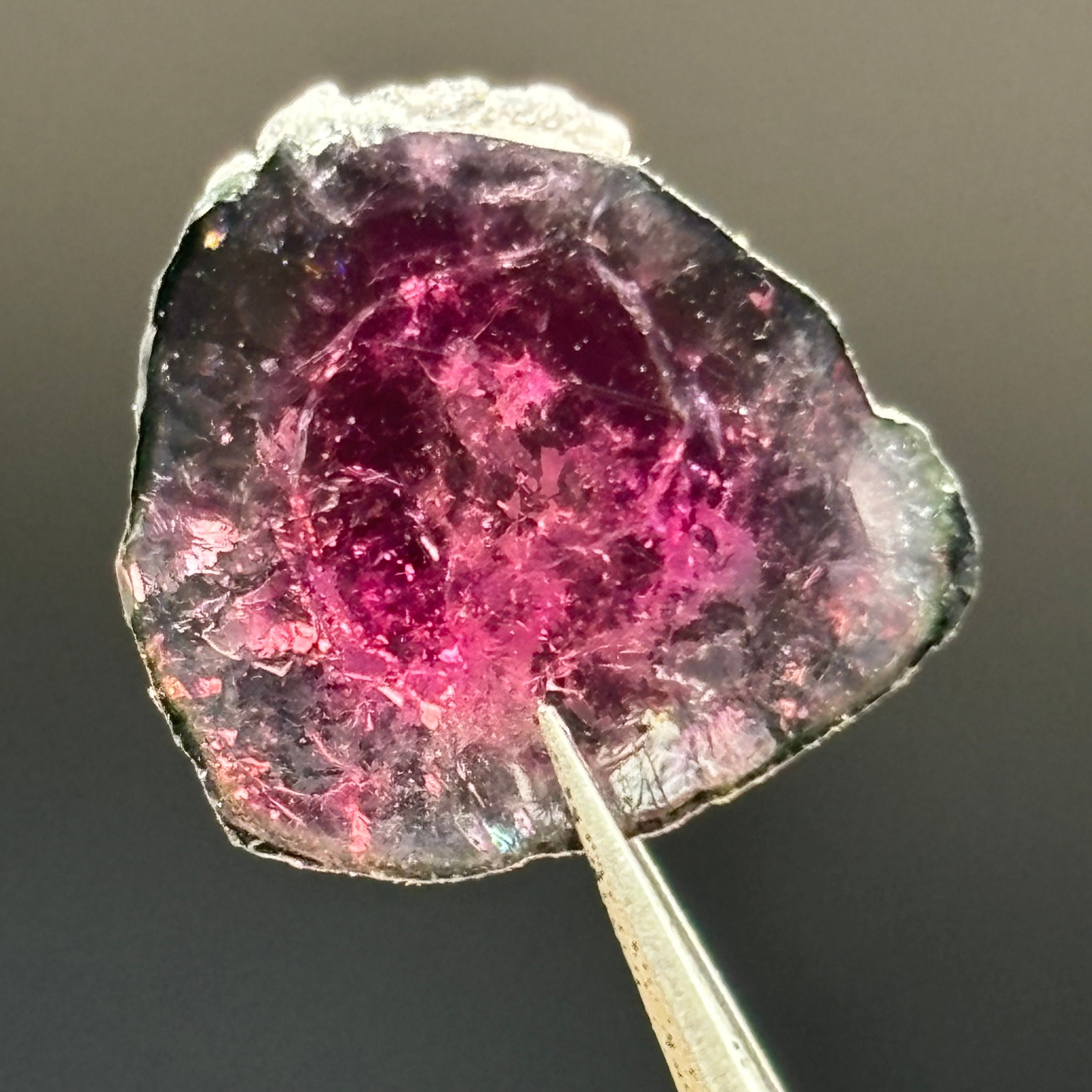 Watermelon Tourmaline Crystal Slice - 034