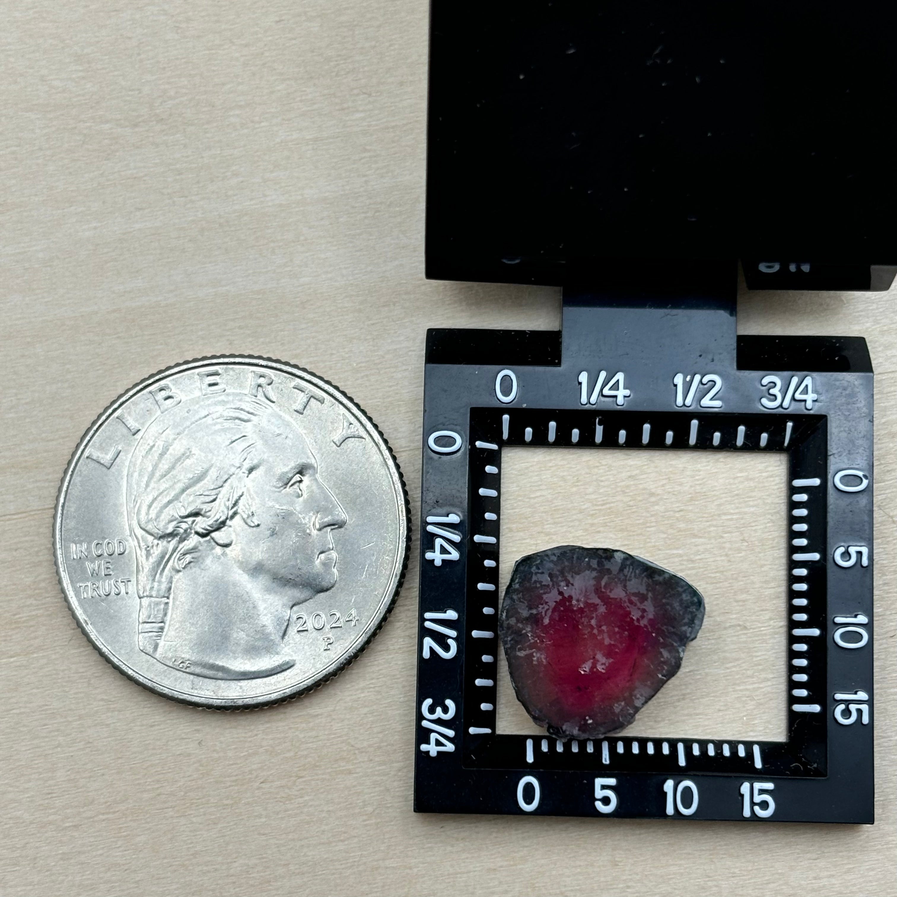 Watermelon Tourmaline Crystal Slice - 034
