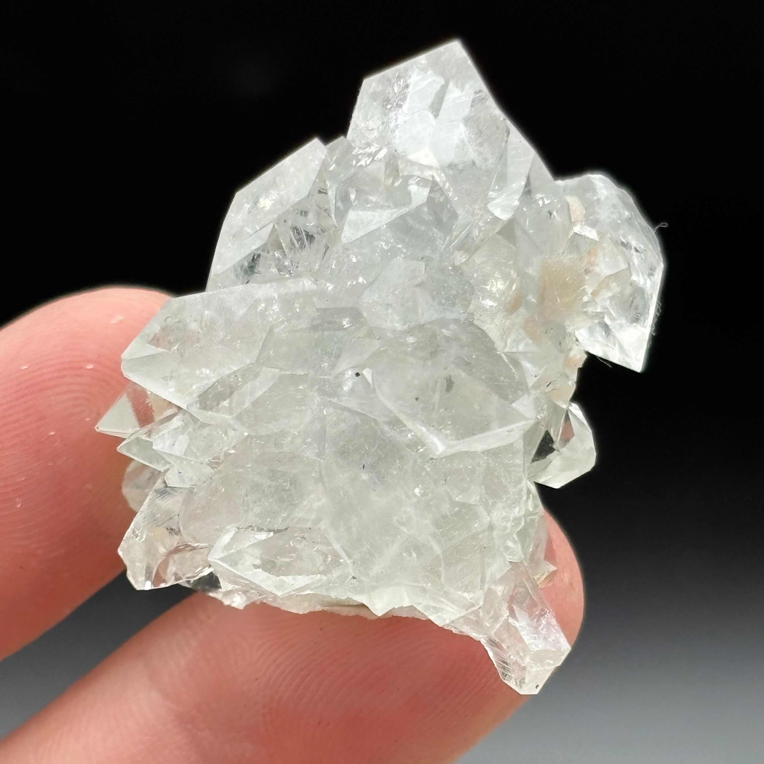 Apophyllite Crystal - 884