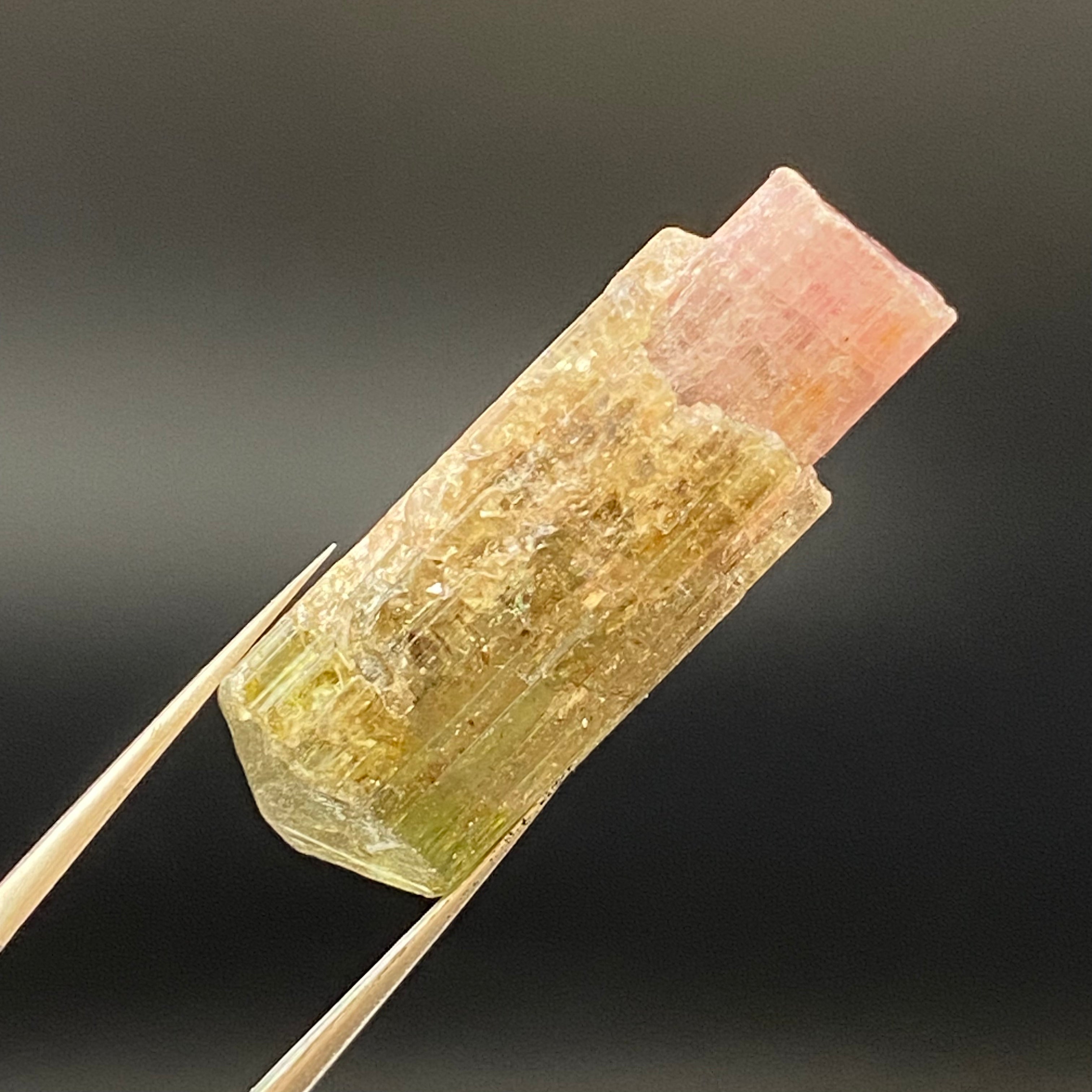 Bicolor Tourmaline - 032