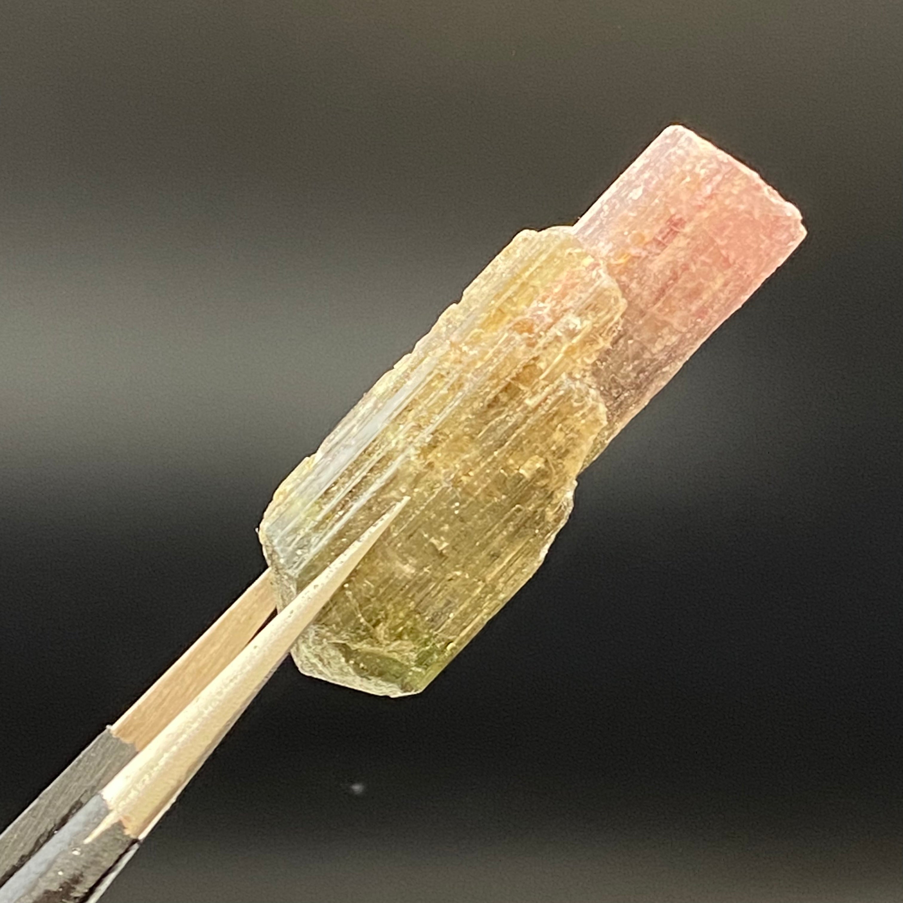 Bicolor Tourmaline - 032