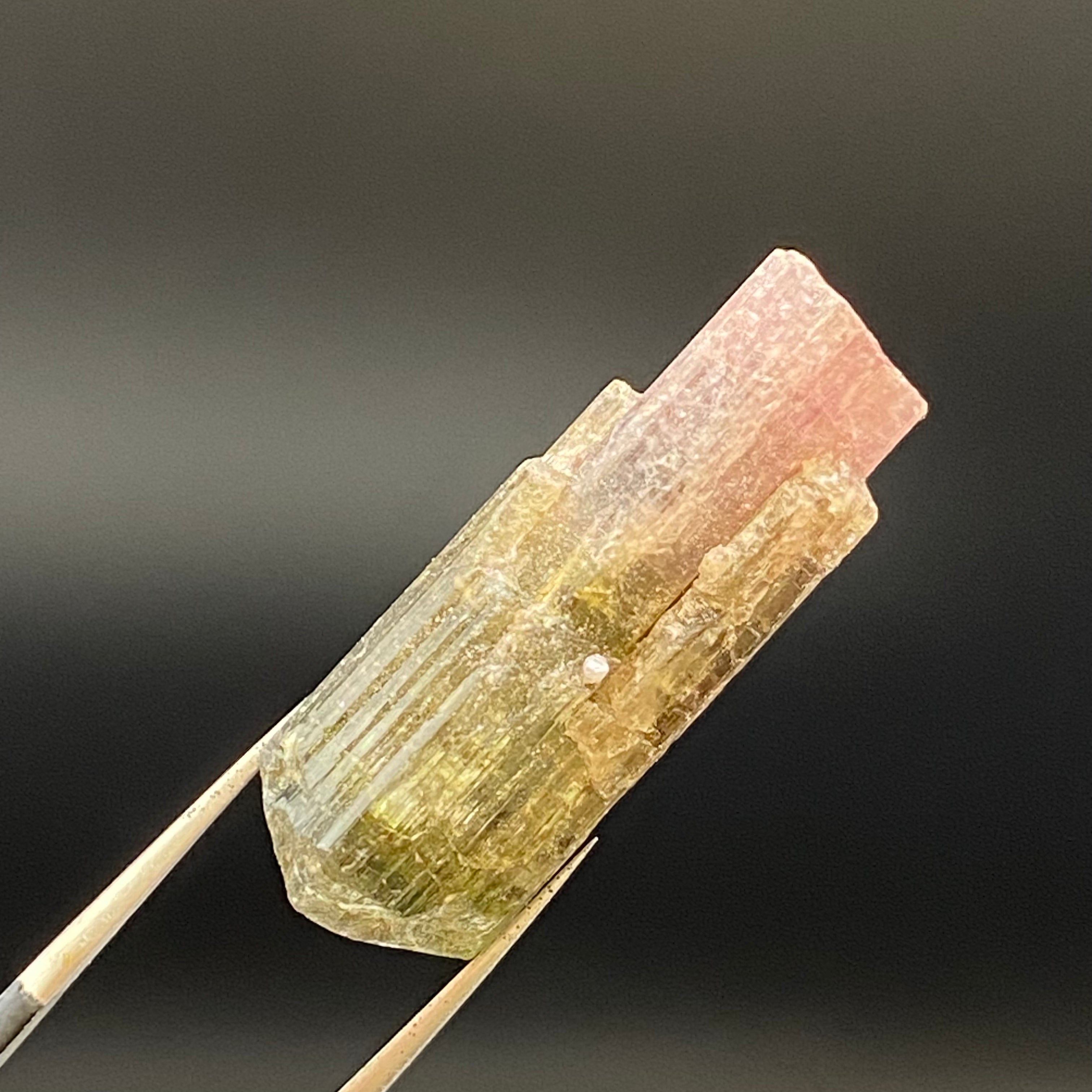 Bicolor Tourmaline - 032