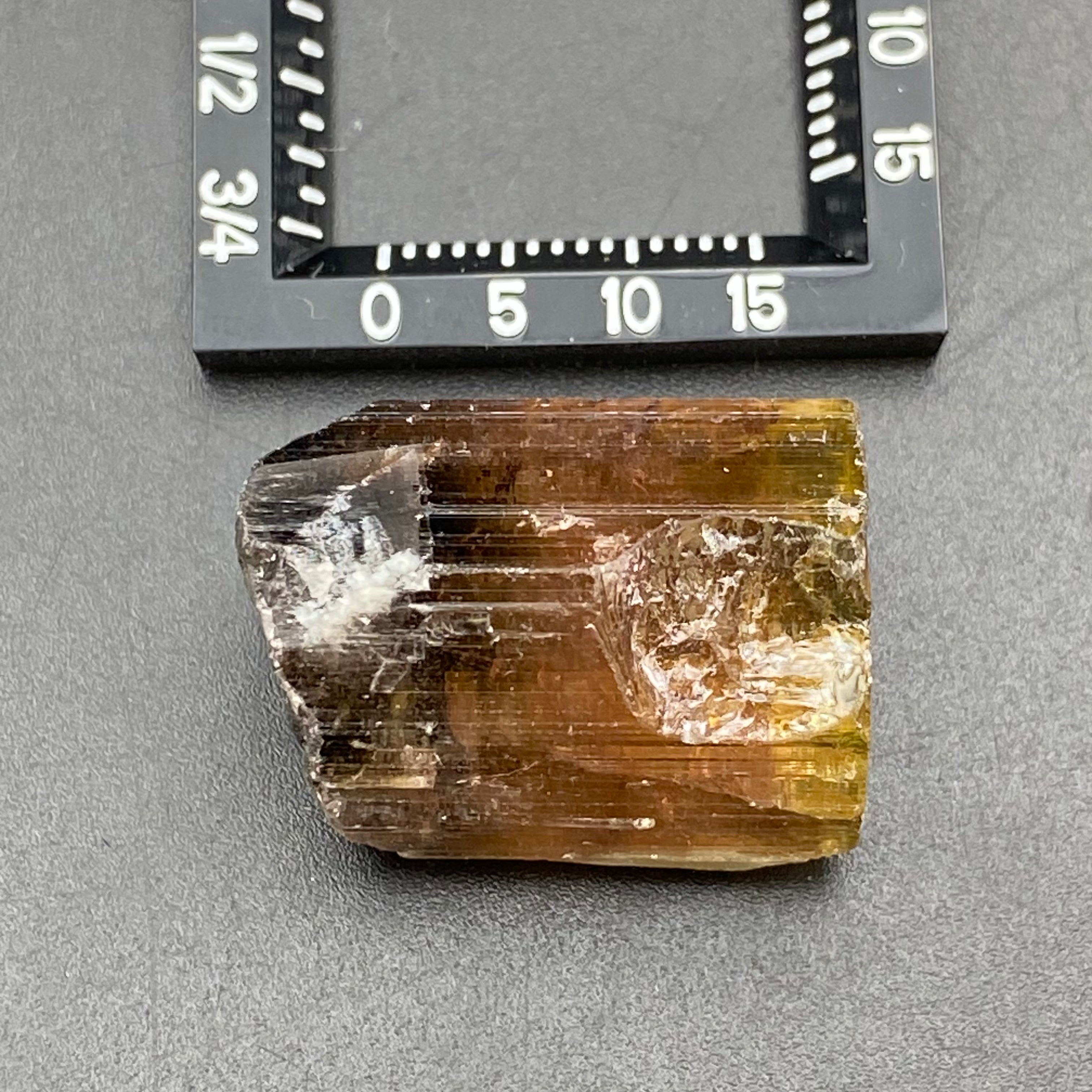 Bicolor Tourmaline - 034