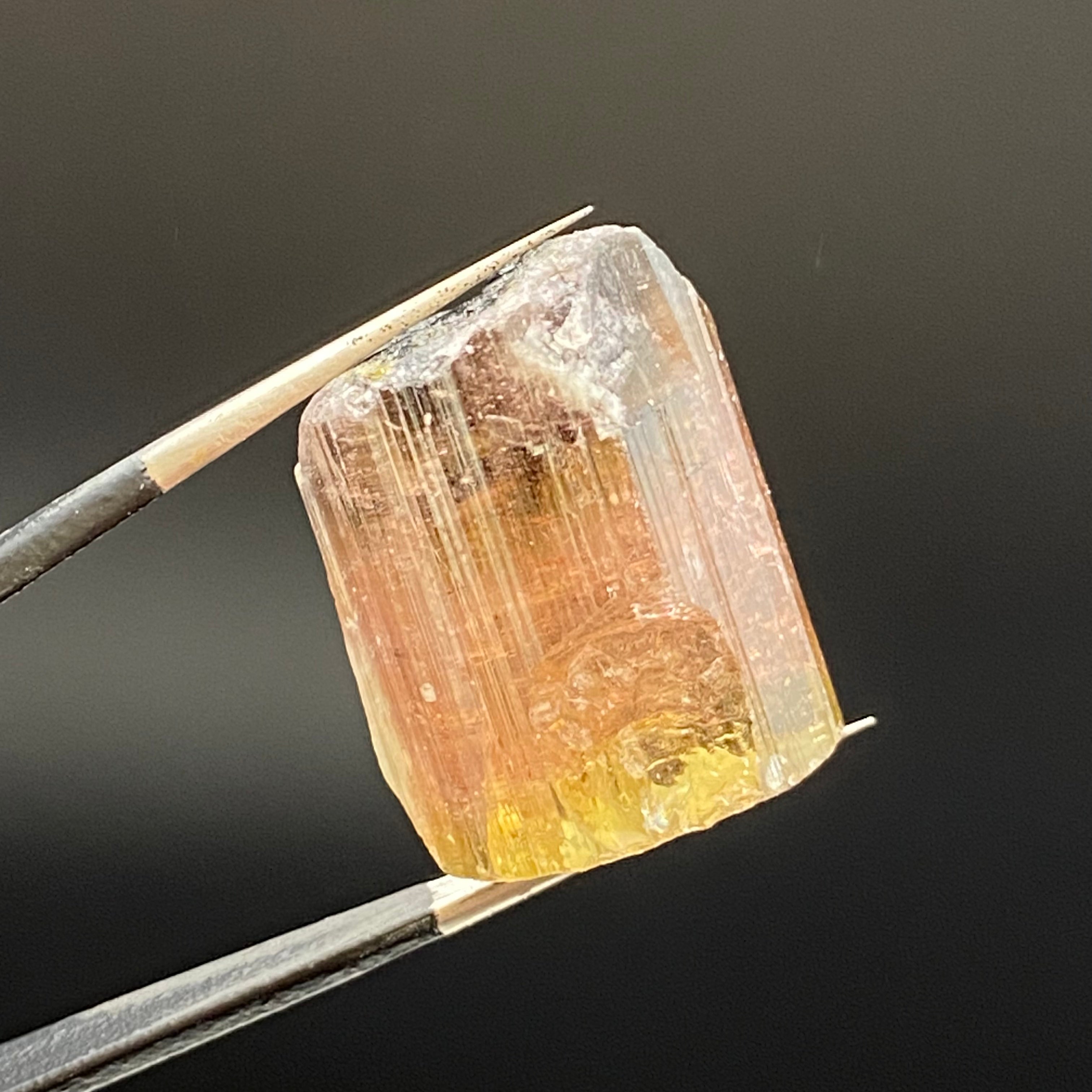 Bicolor Tourmaline - 034