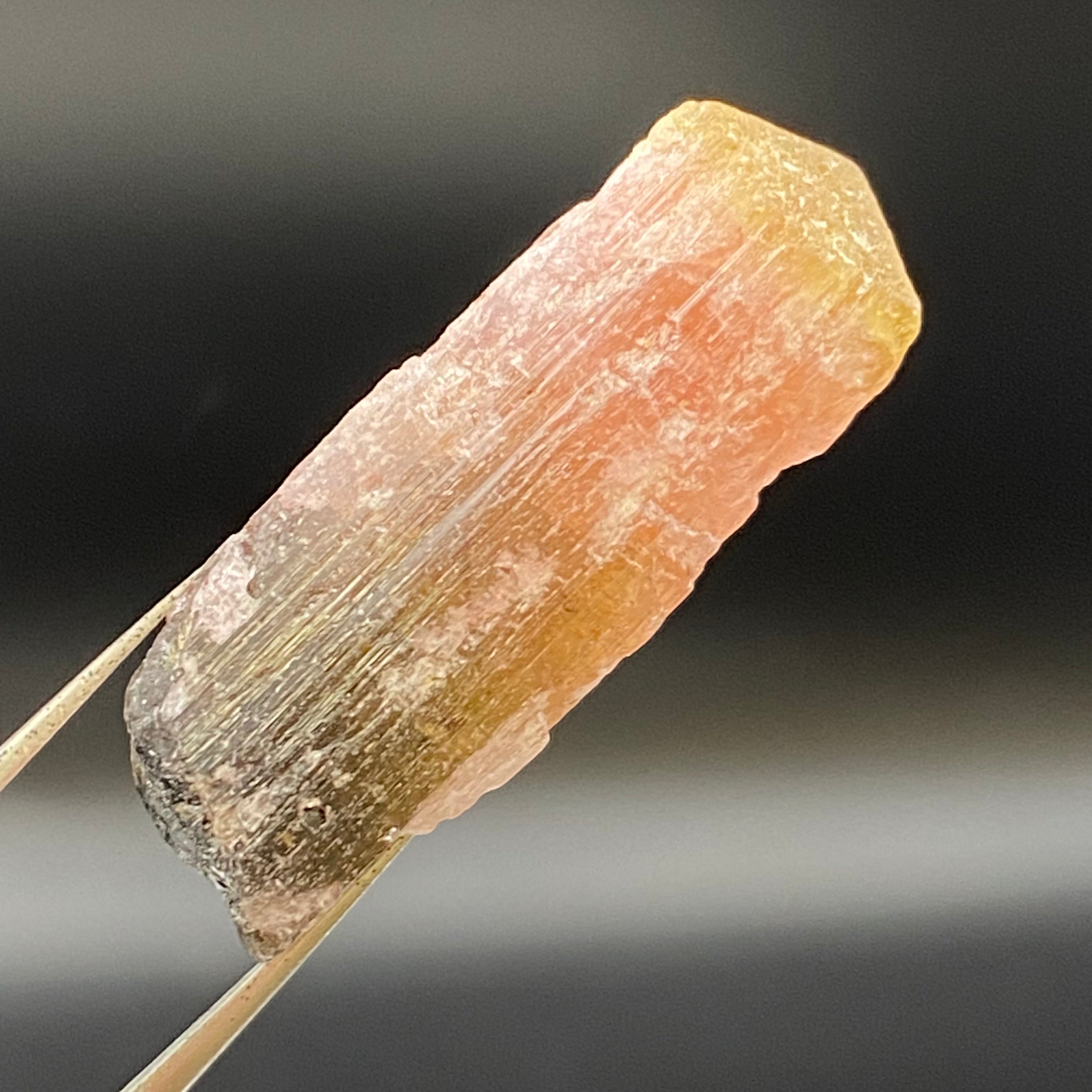Bicolor Tourmaline - 035