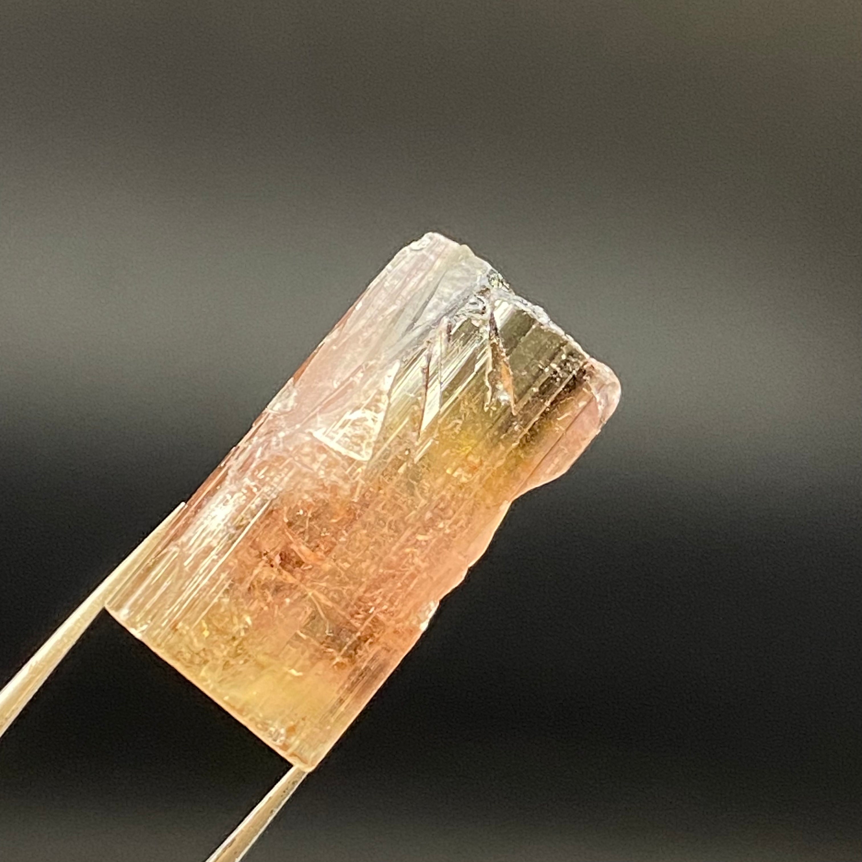 Bicolor Tourmaline - 037