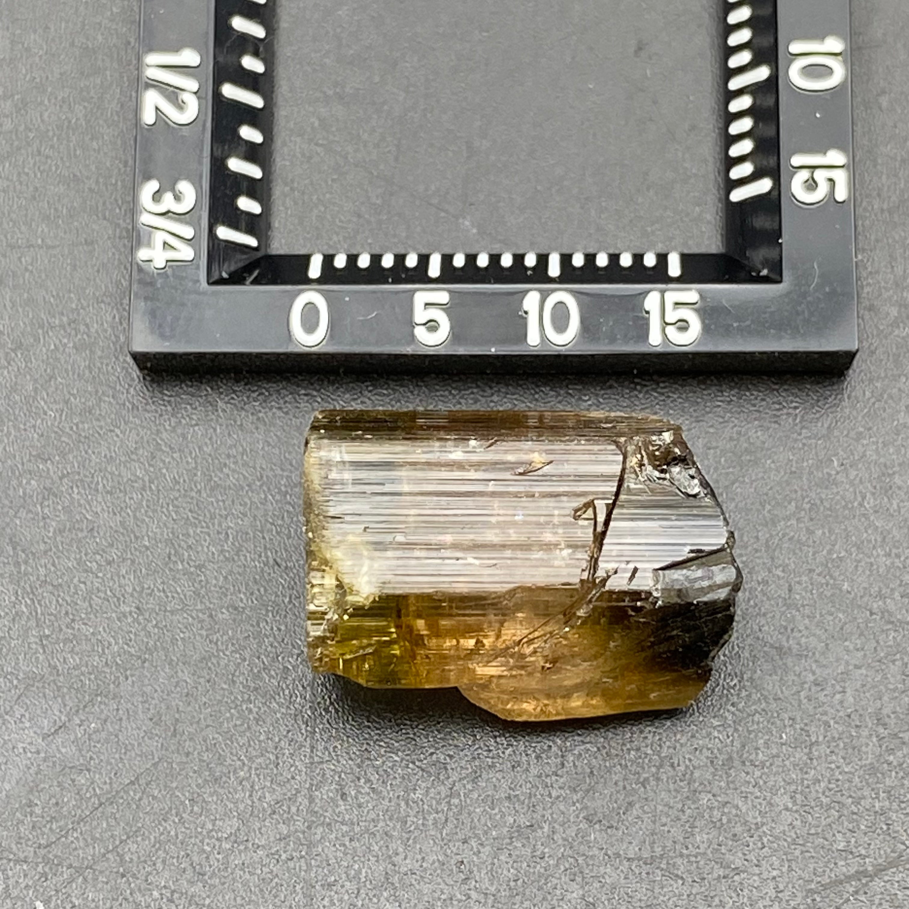 Bicolor Tourmaline - 039