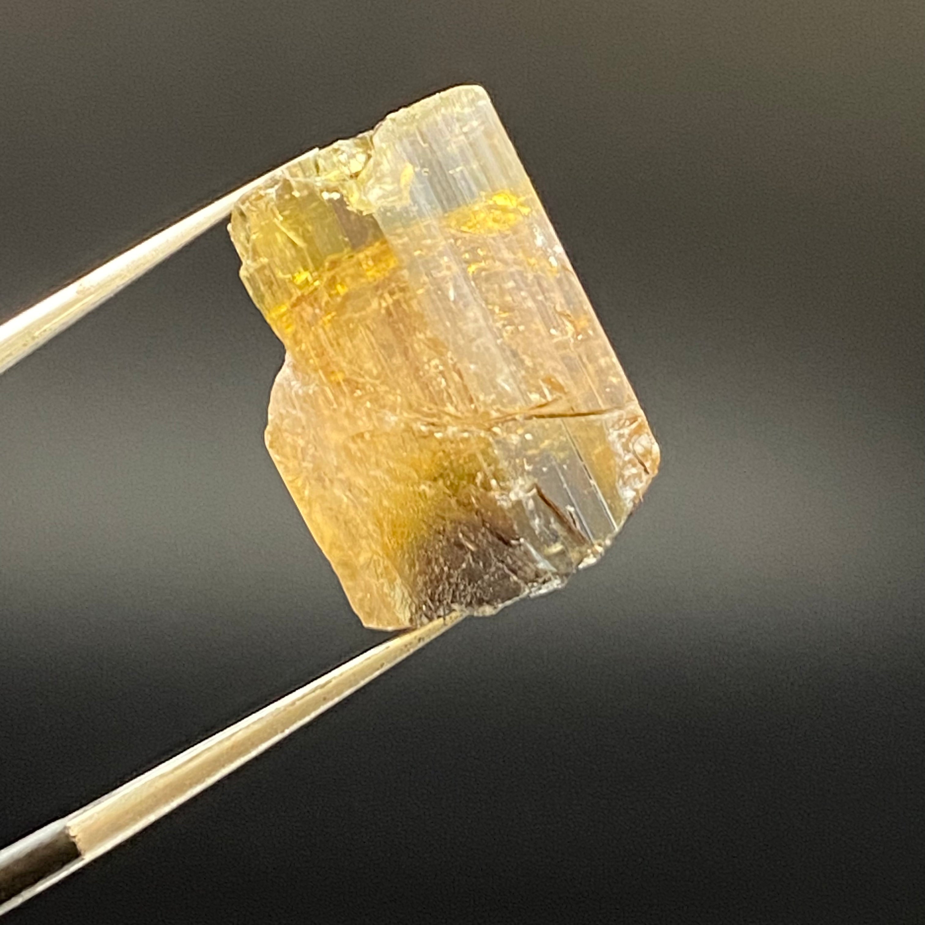 Bicolor Tourmaline - 039