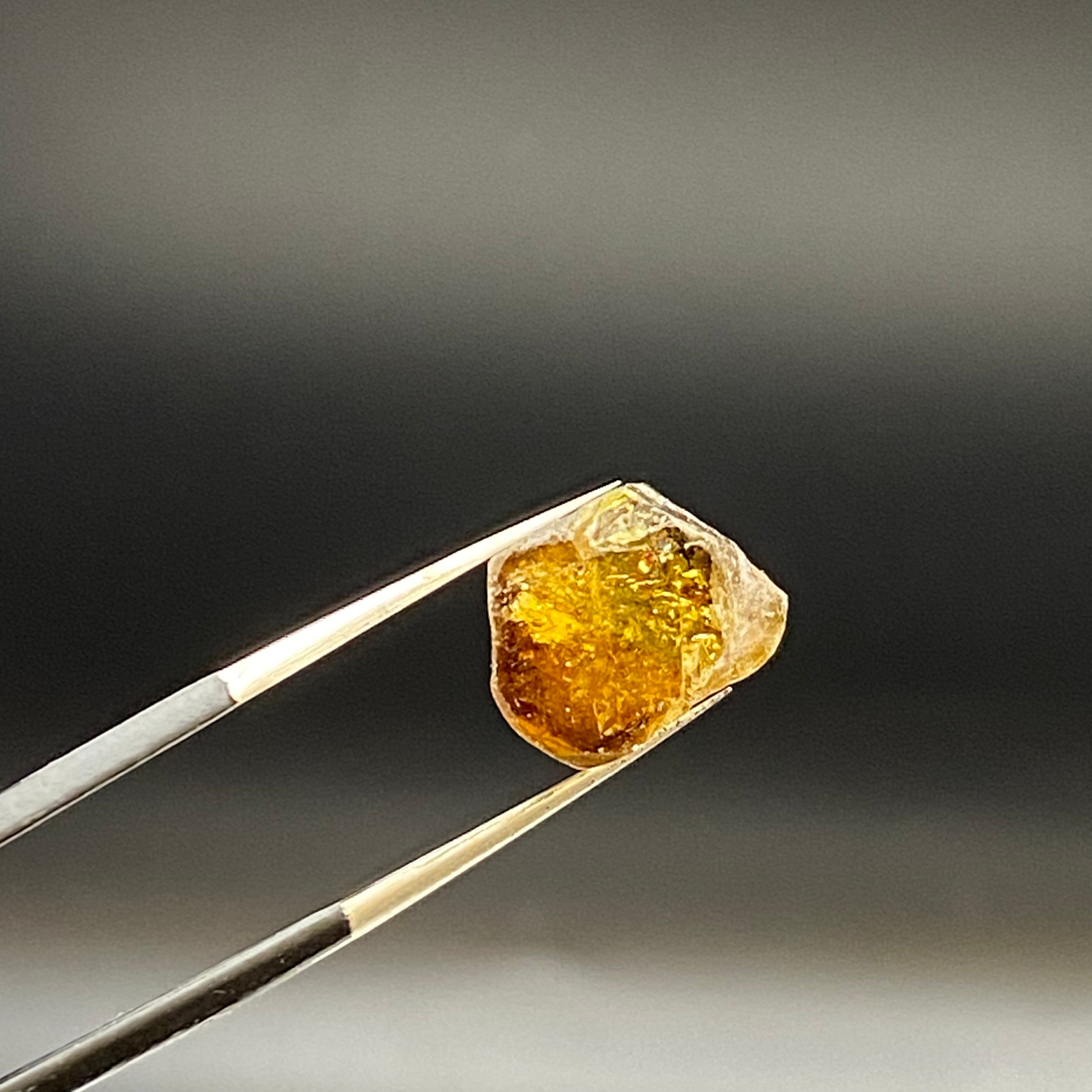 Bicolor Tourmaline - 039