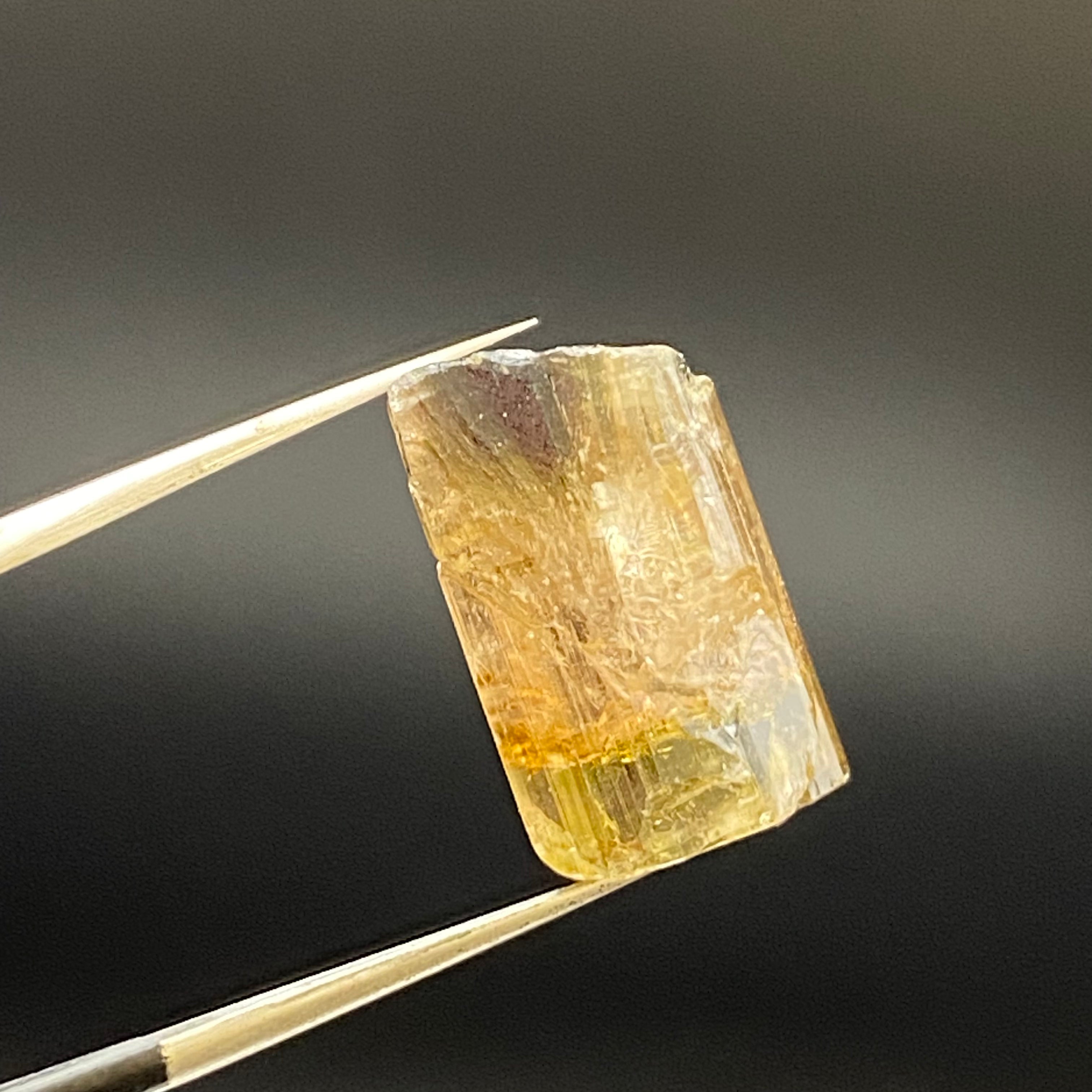 Bicolor Tourmaline - 039