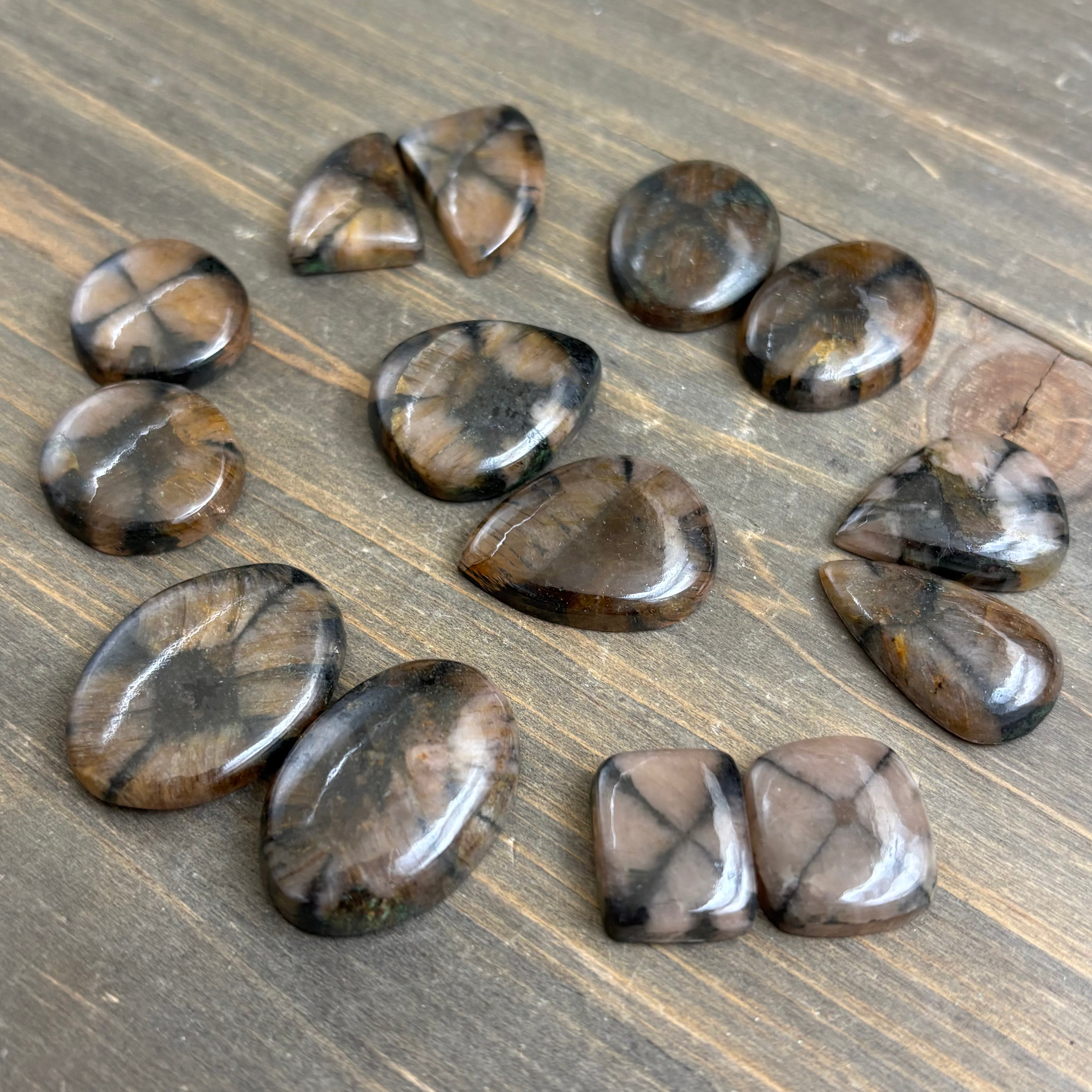 Chiastolite Point Pair