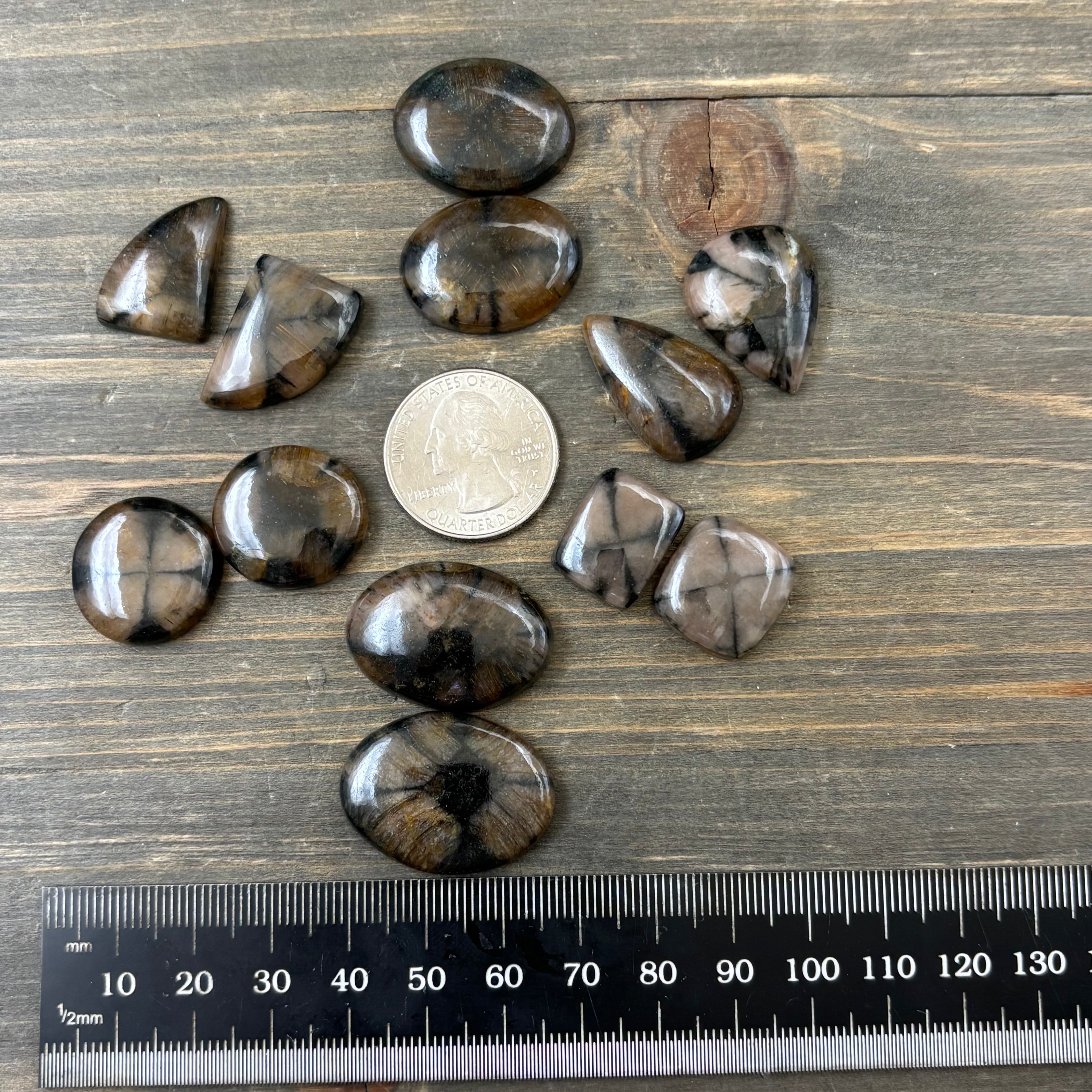 Chiastolite Point Pair