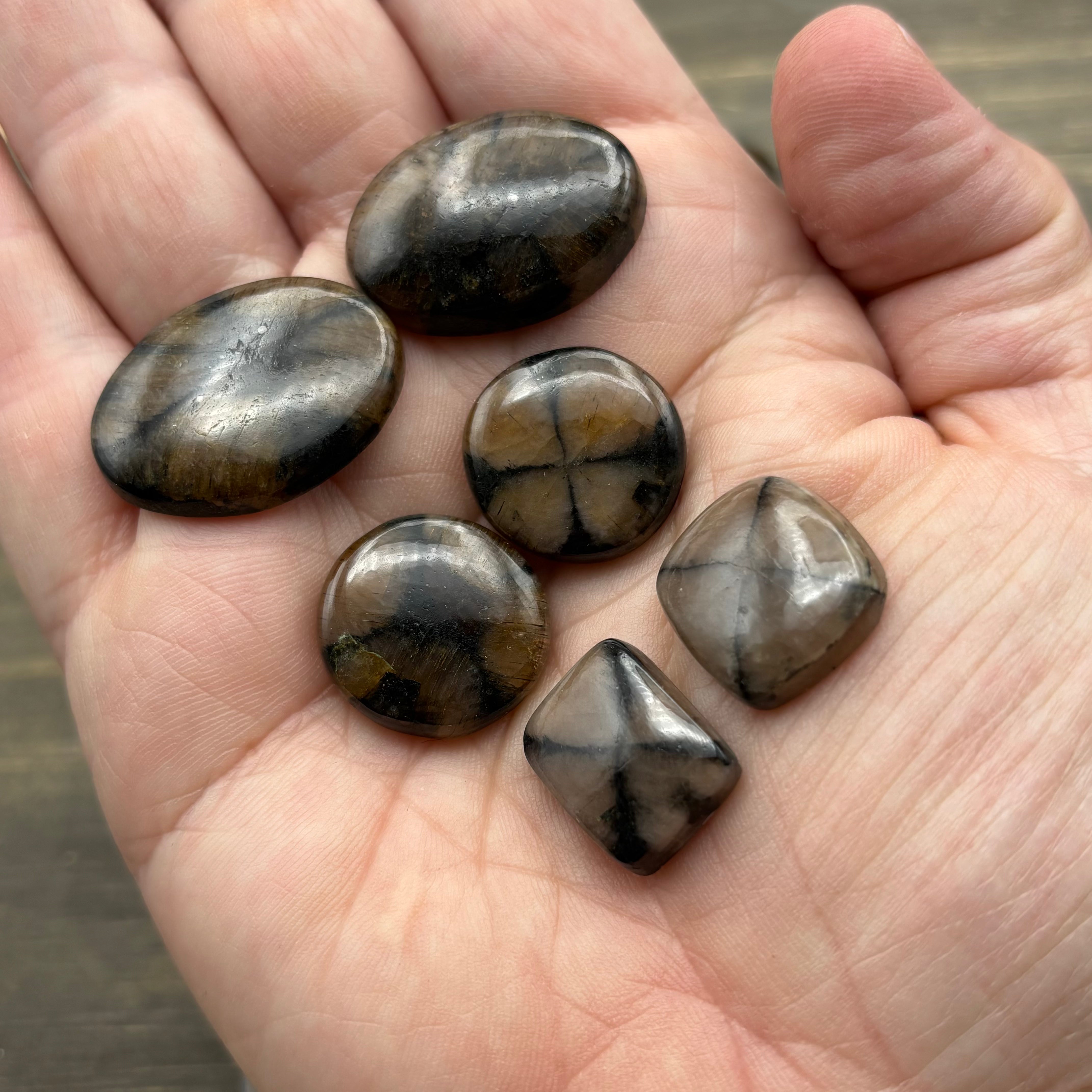 Chiastolite Point Pair