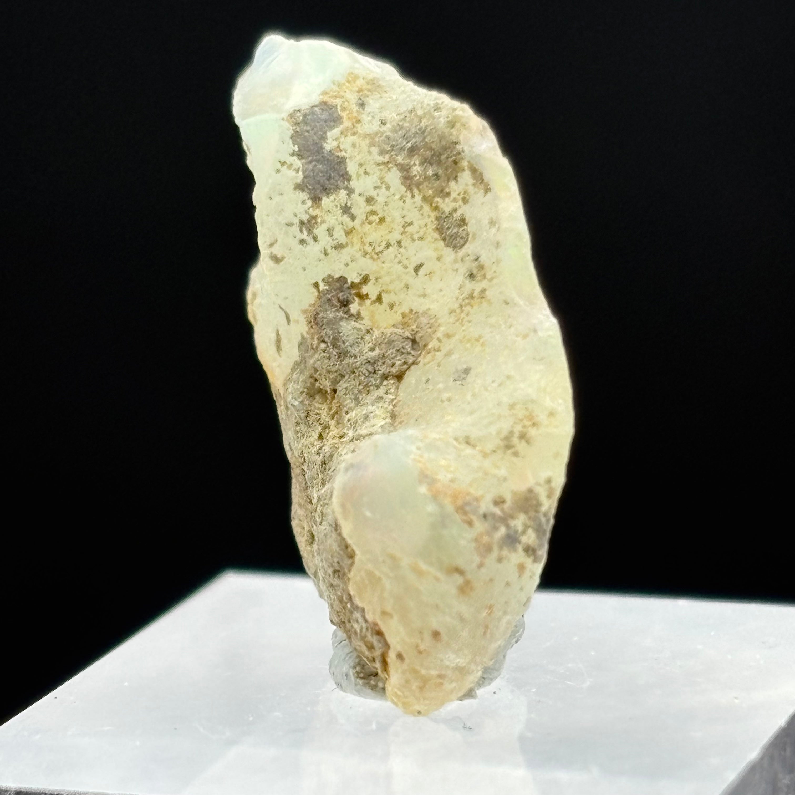Welo Opal - 164