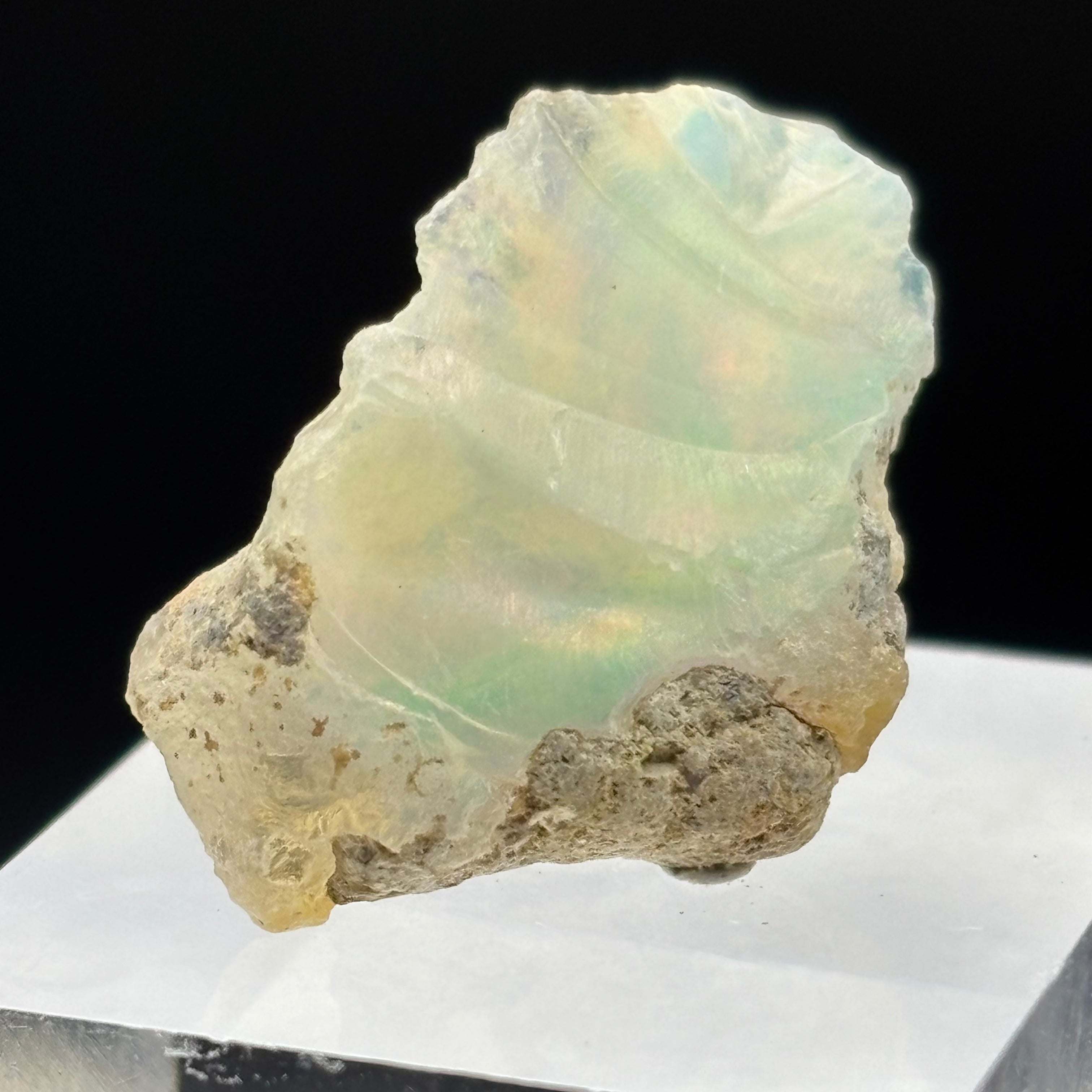 Welo Opal - 164