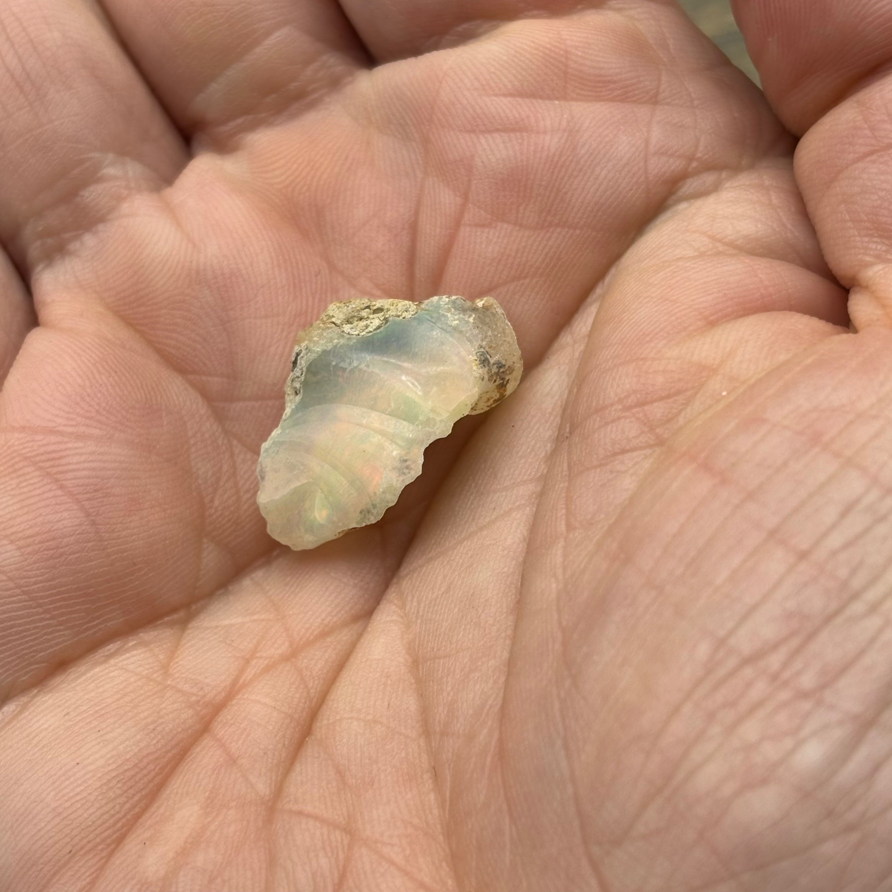 Welo Opal - 164