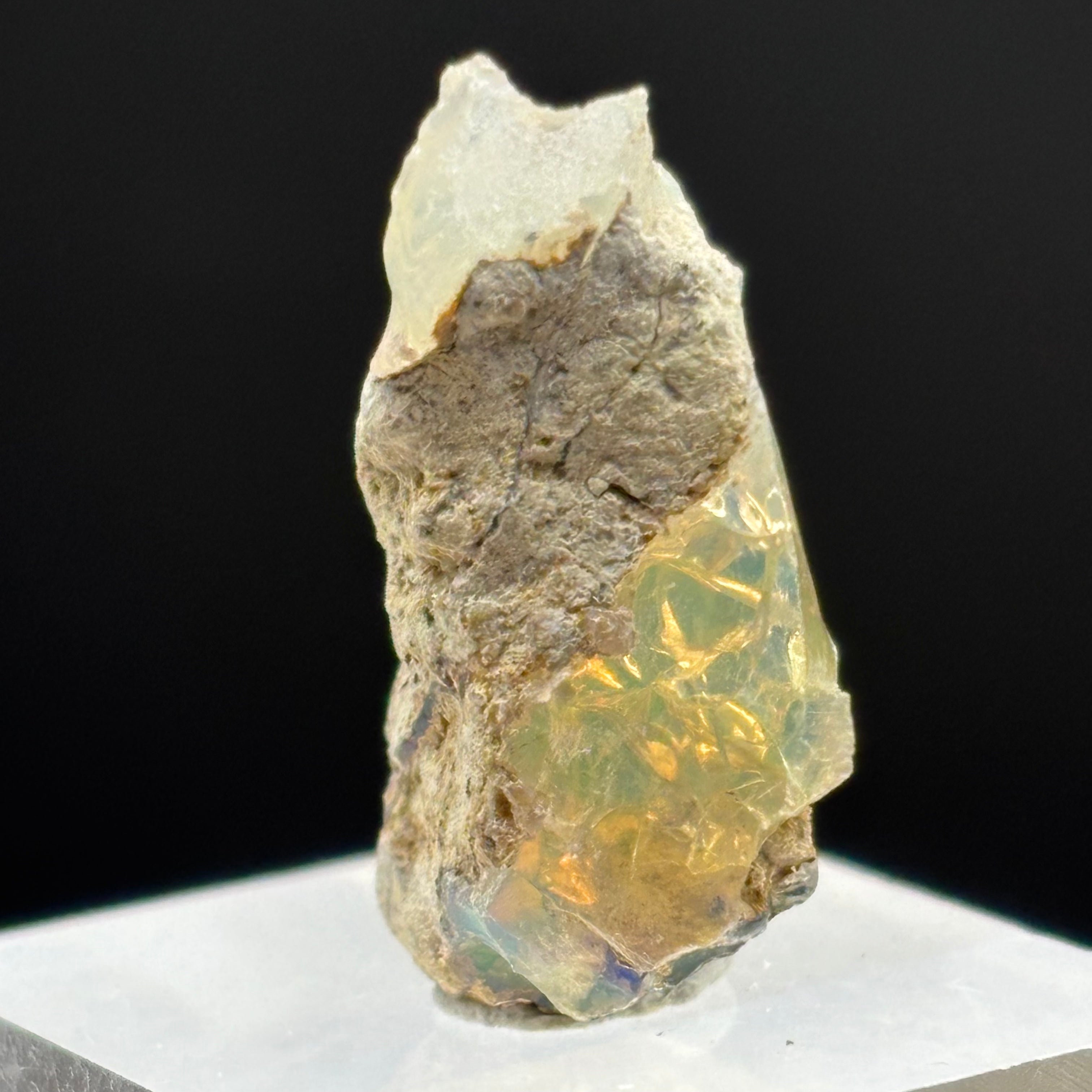 Welo Opal - 166