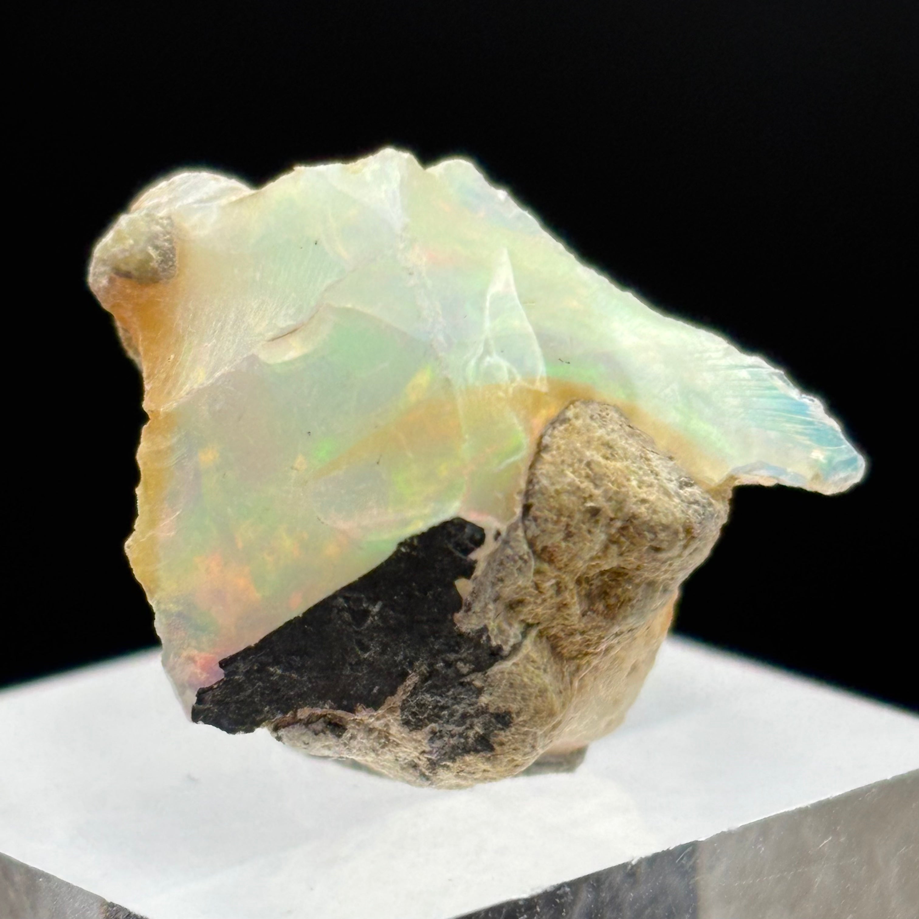Welo Opal - 173