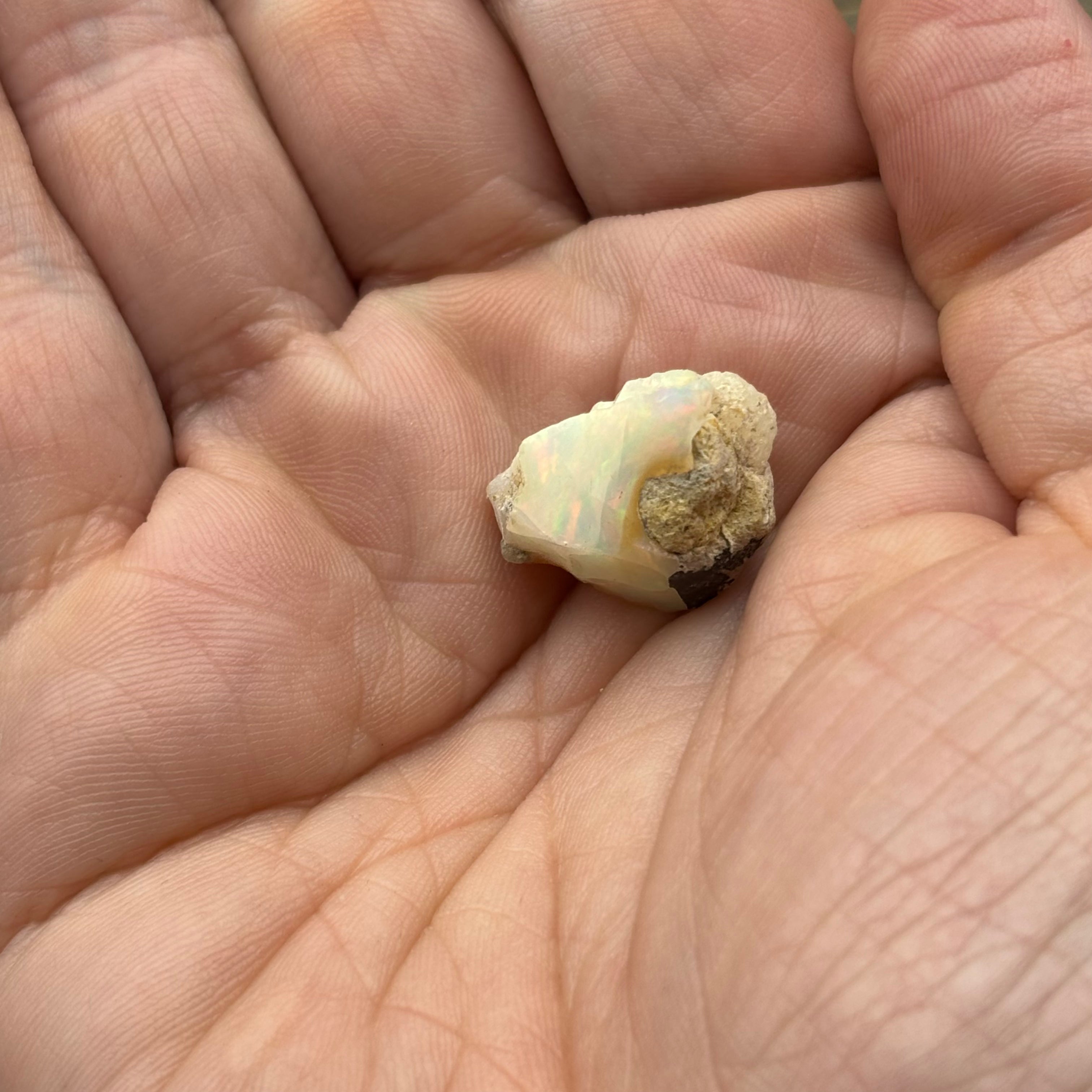 Welo Opal - 173