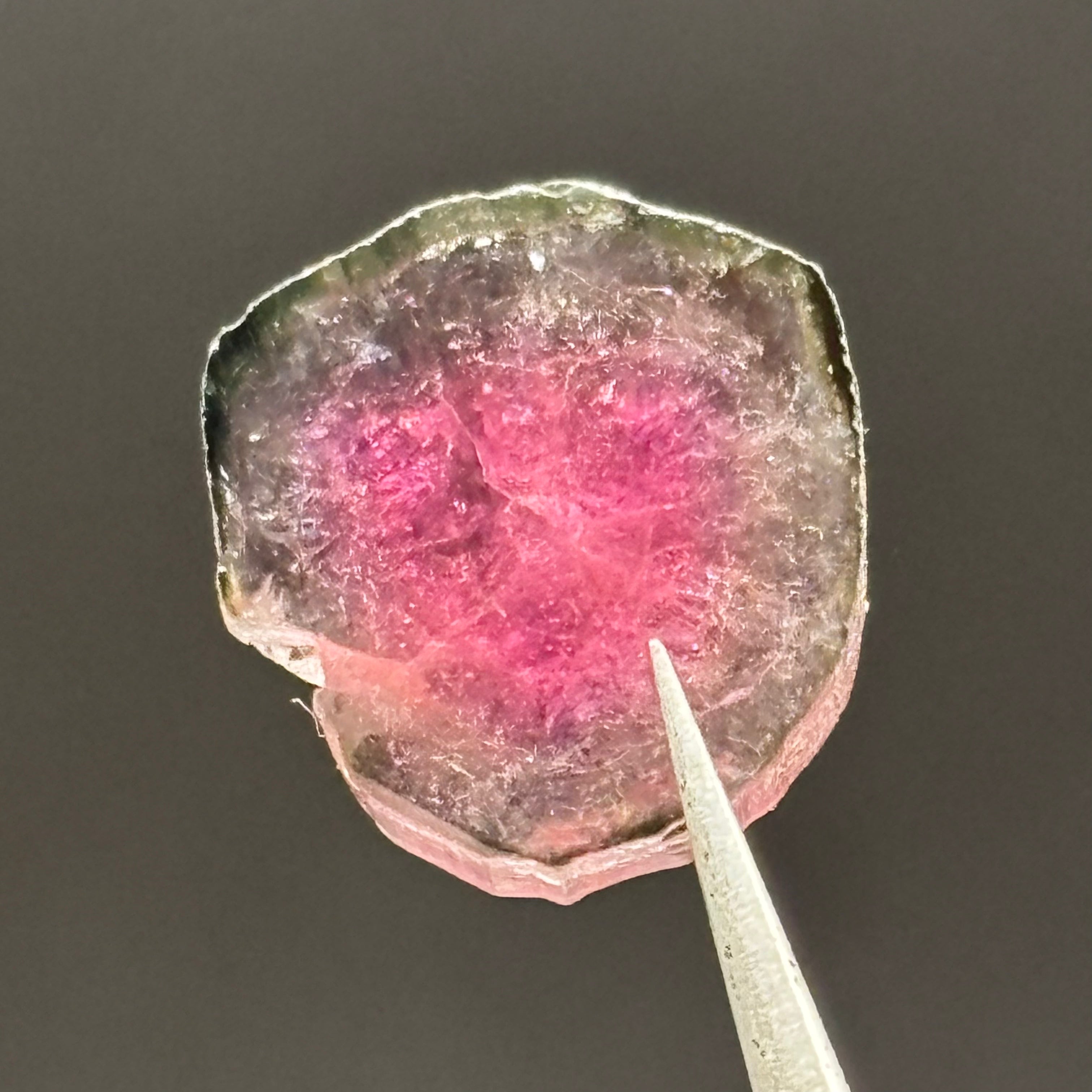 Watermelon Tourmaline Crystal Slice - 123