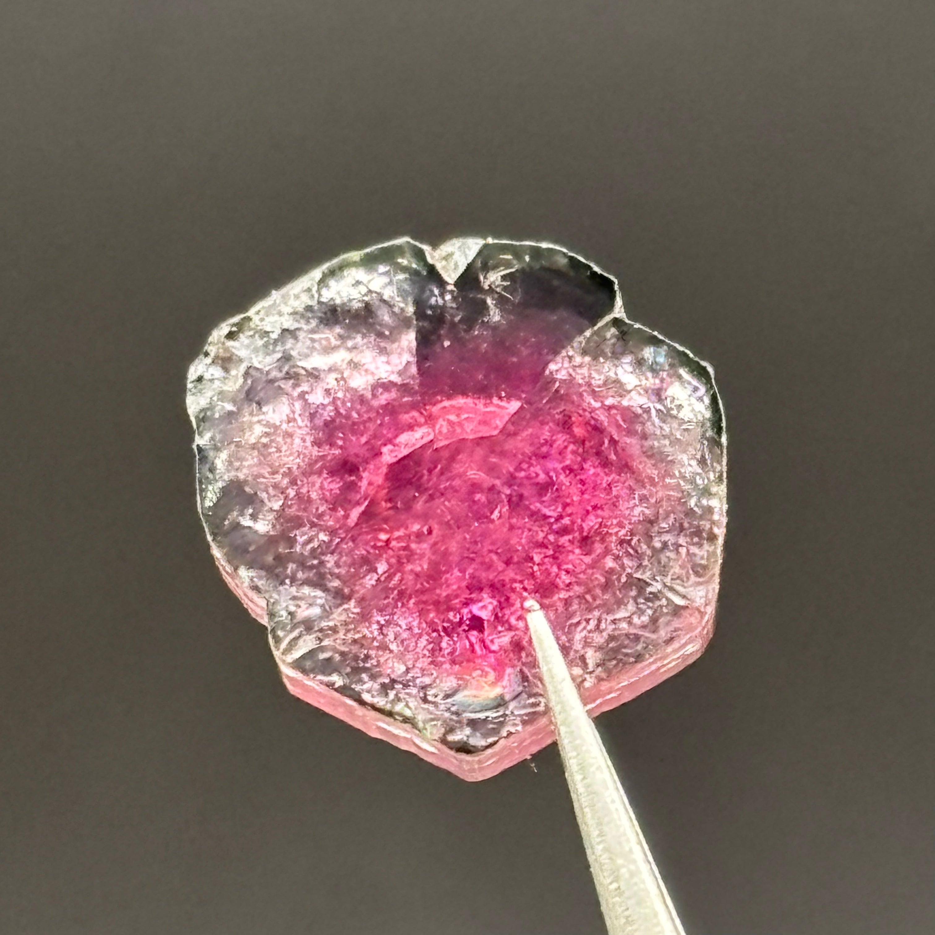 Watermelon Tourmaline Crystal Slice - 125