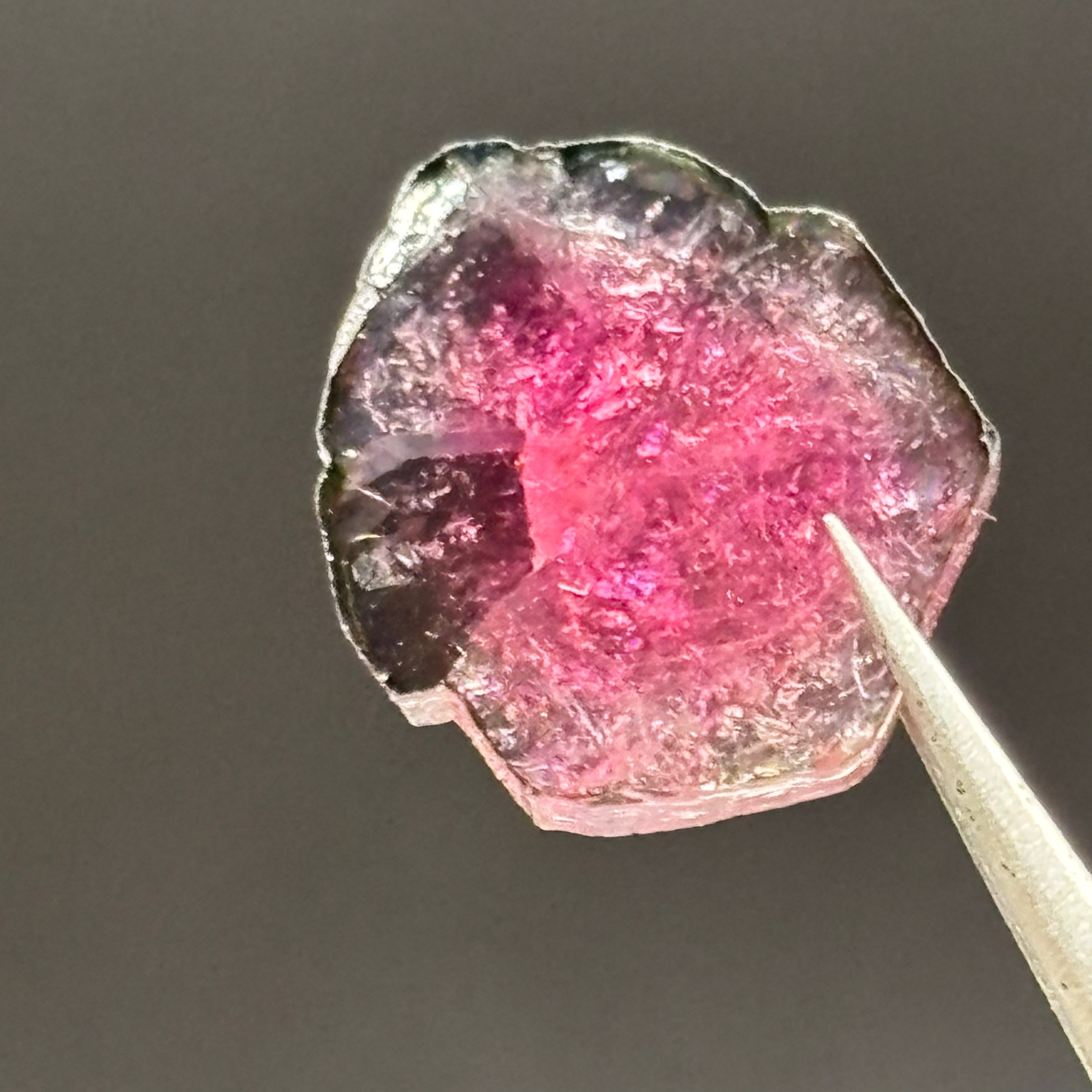 Watermelon Tourmaline Crystal Slice - 125