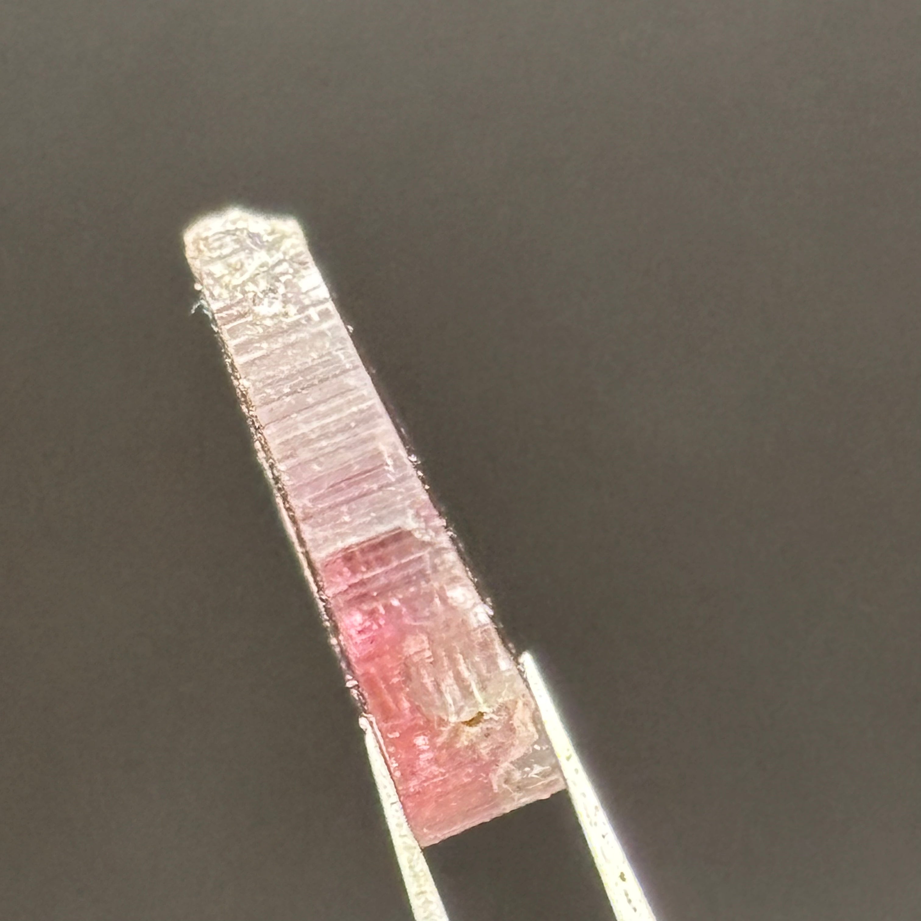 Watermelon Tourmaline Crystal Slice - 131