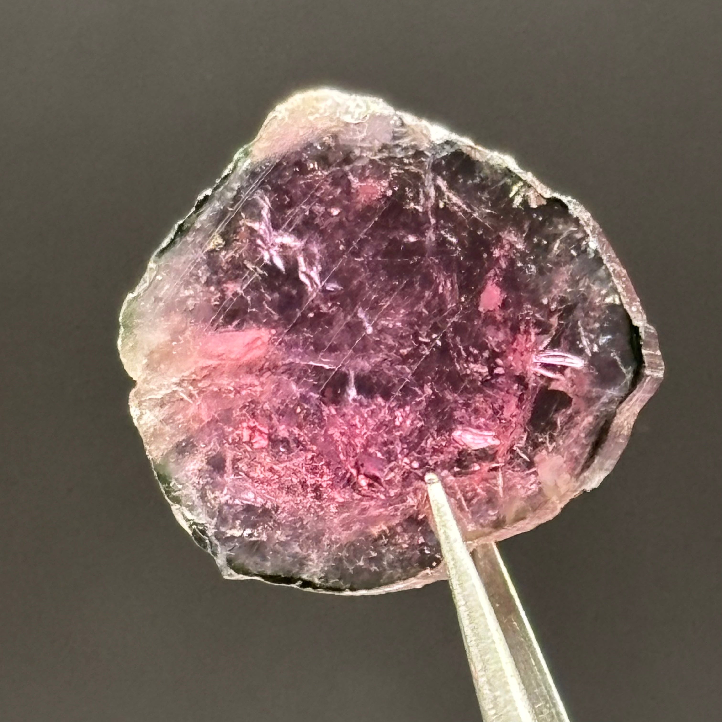 Watermelon Tourmaline Crystal Slice - 131