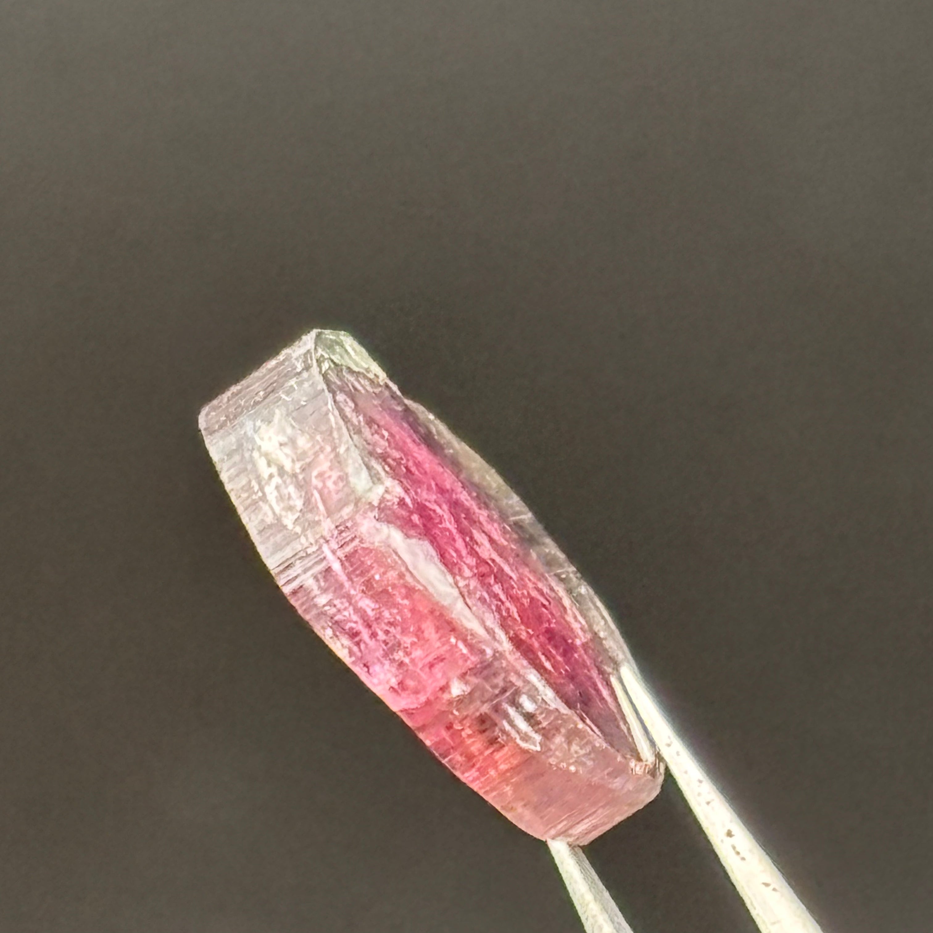 Watermelon Tourmaline Crystal Slice - 133