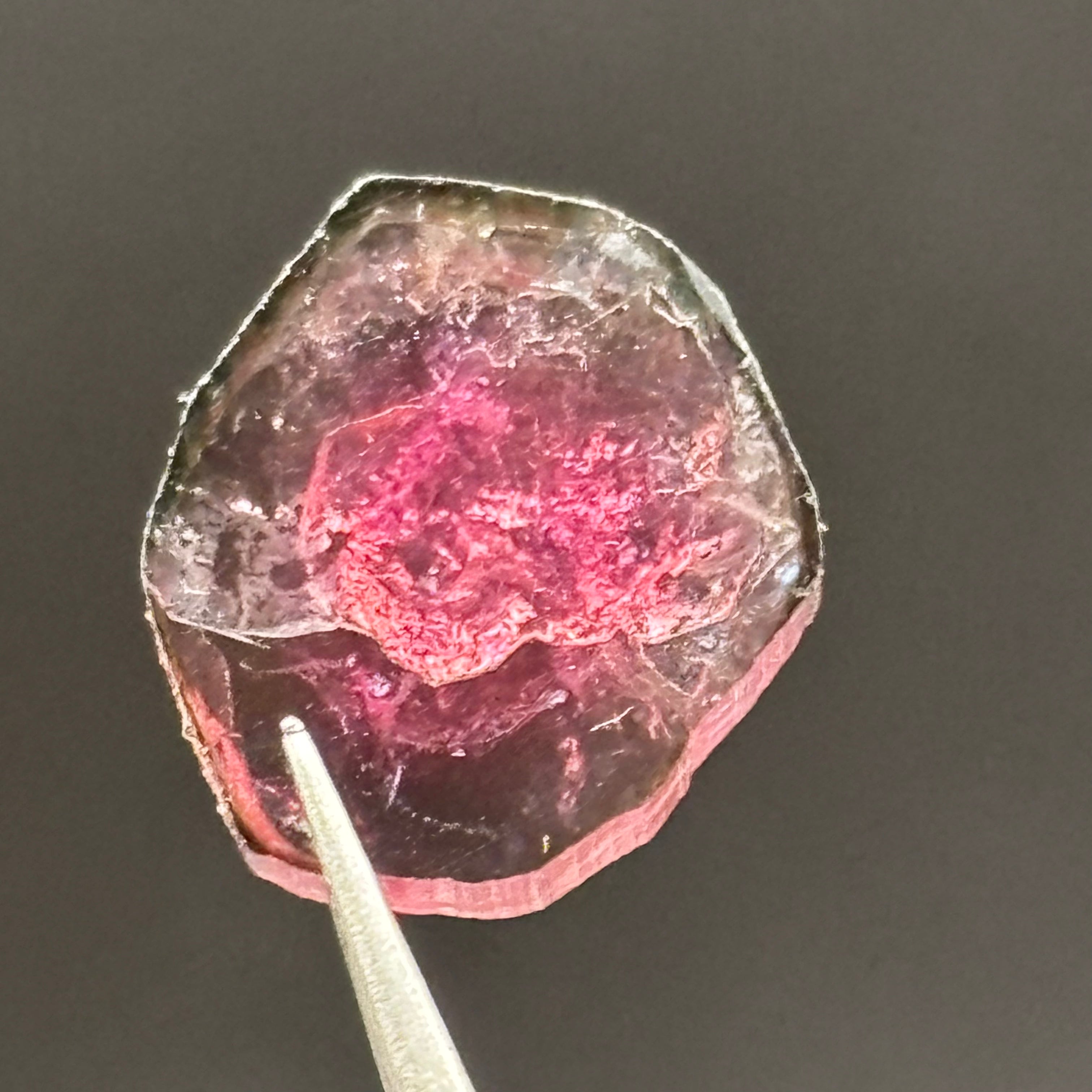 Watermelon Tourmaline Crystal Slice - 133