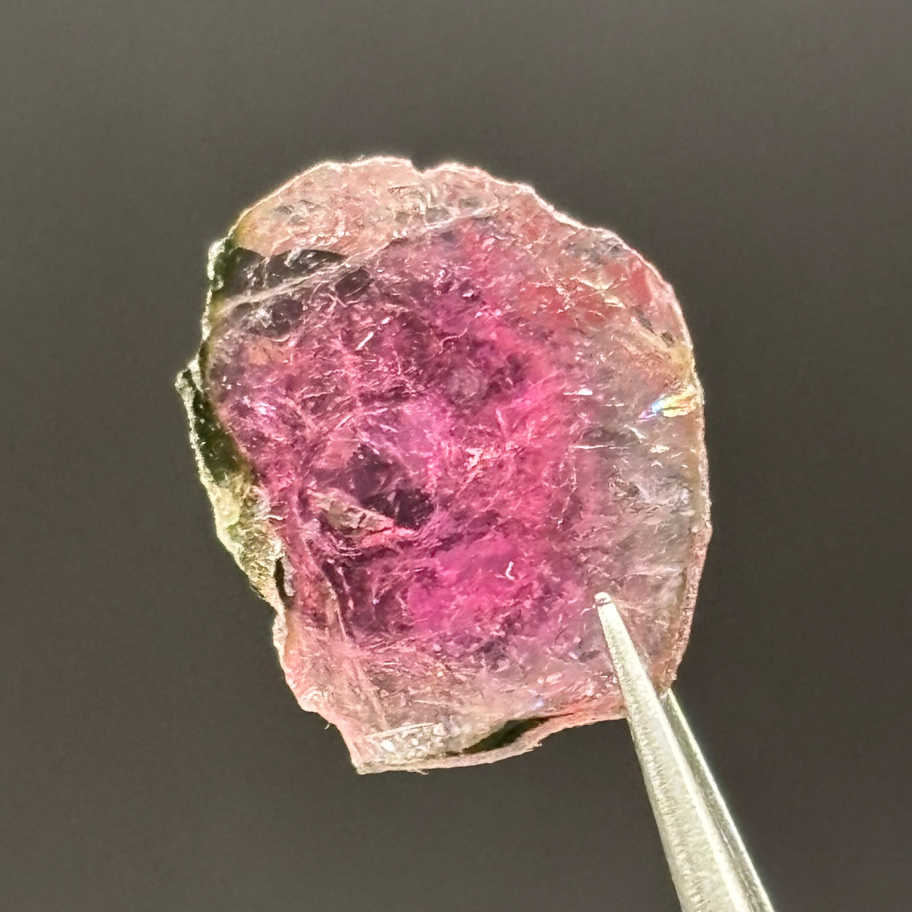 Watermelon Tourmaline Crystal Slice - 134