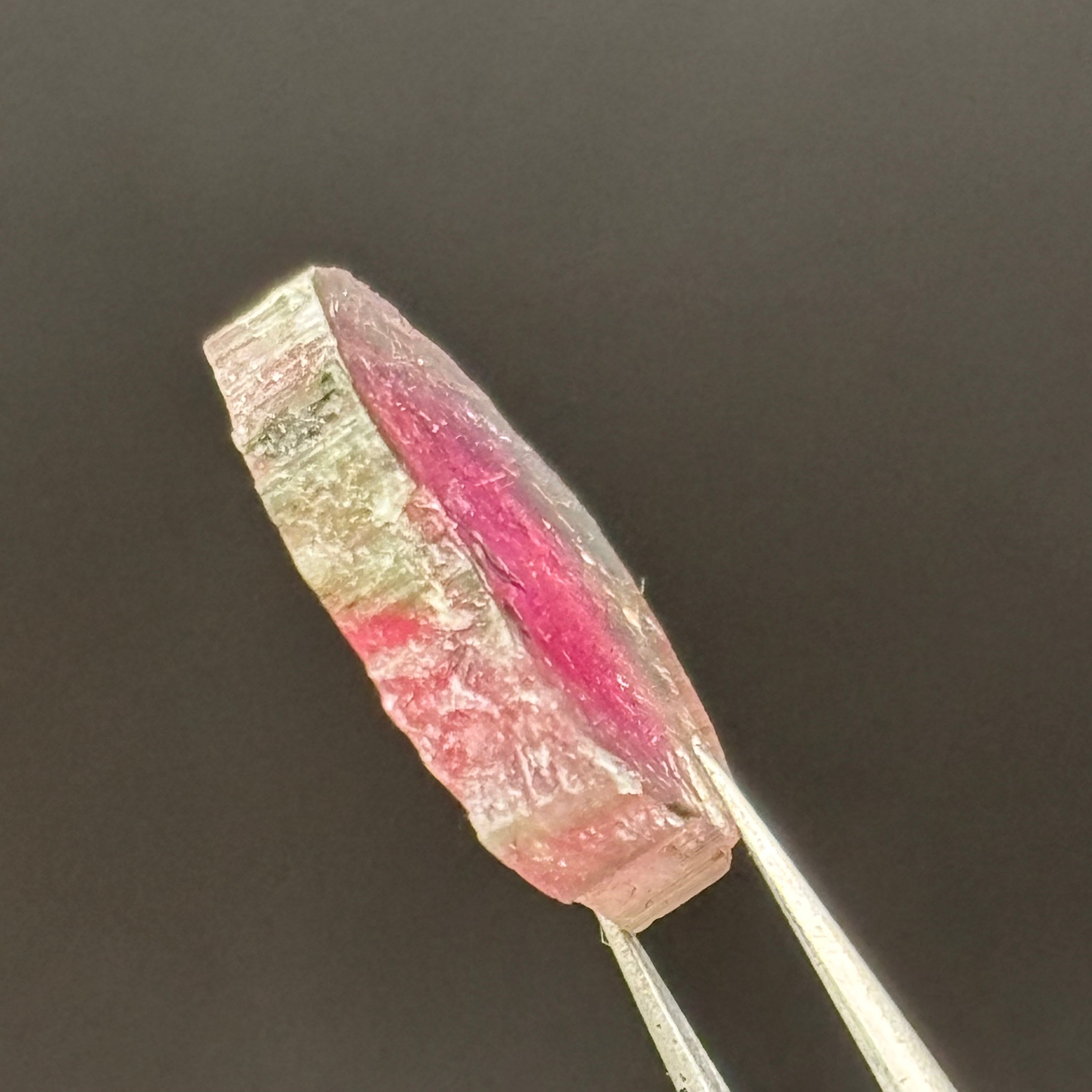 Watermelon Tourmaline Crystal Slice - 134