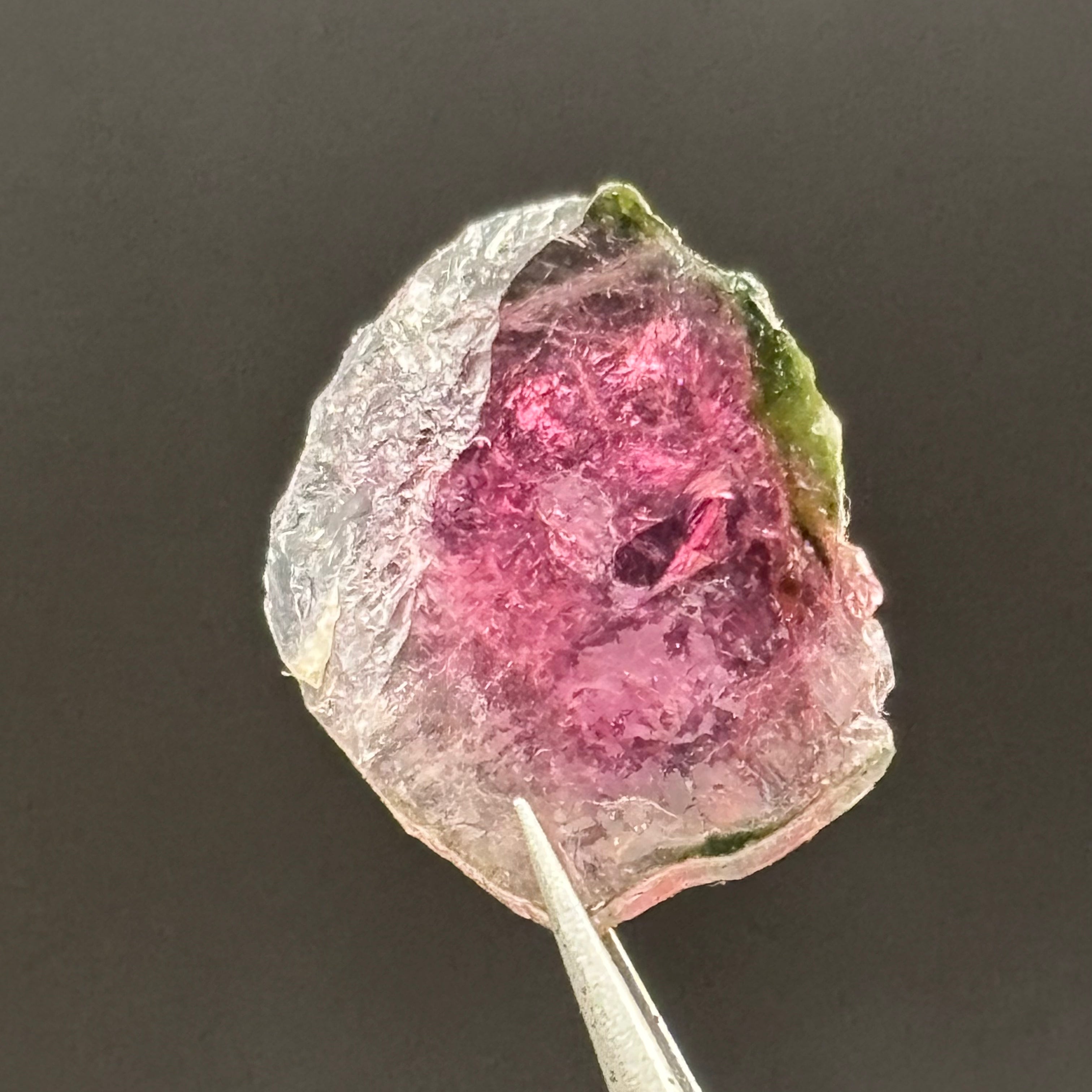 Watermelon Tourmaline Crystal Slice - 134