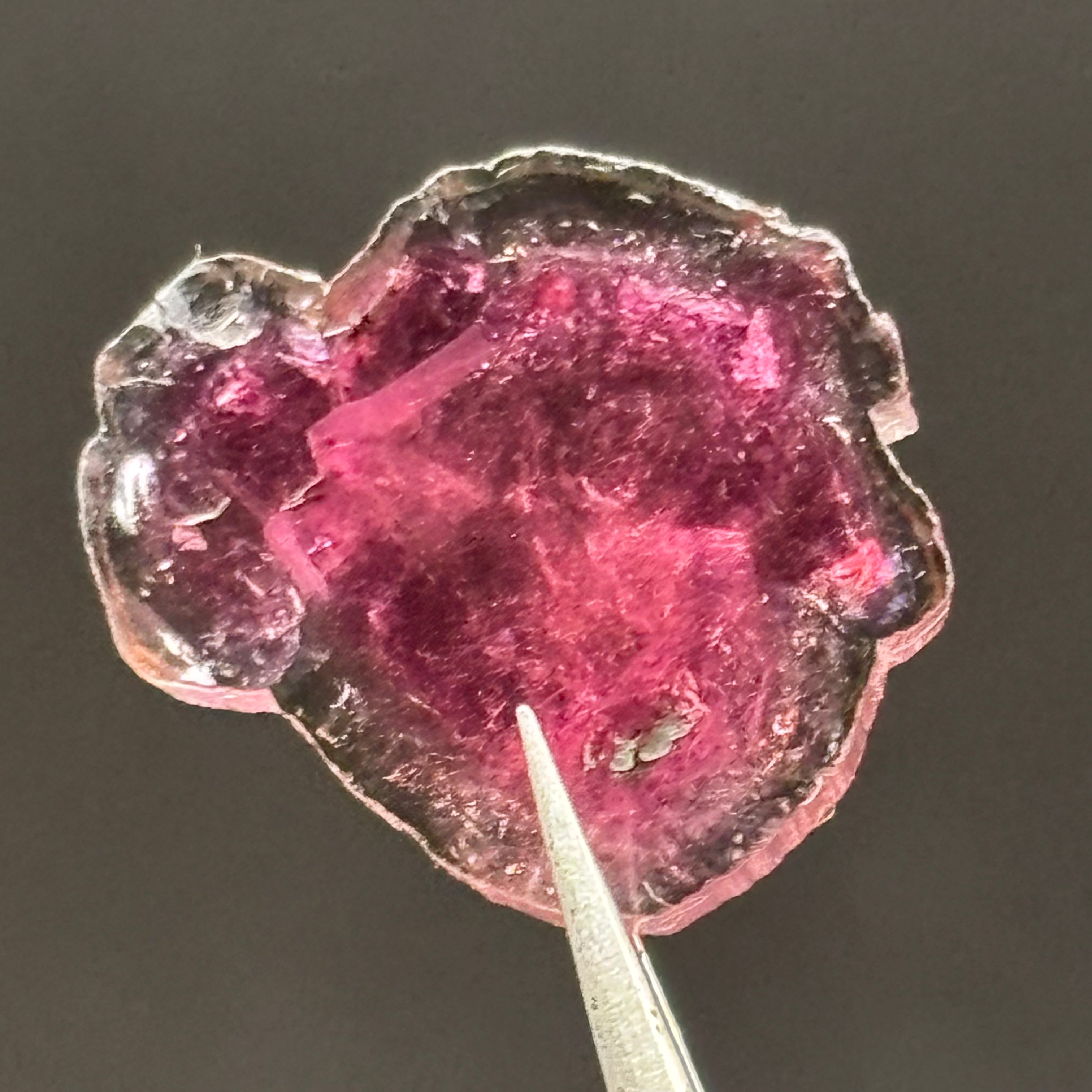 Watermelon Tourmaline Crystal Slice - 135