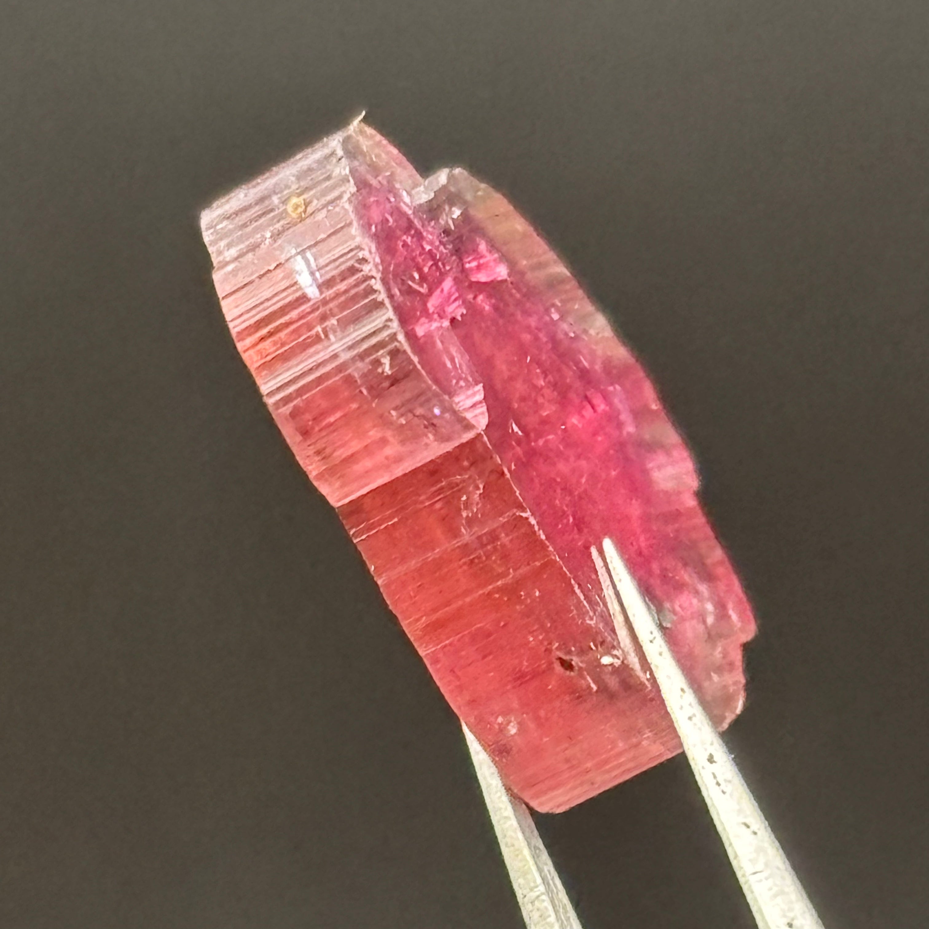 Watermelon Tourmaline Crystal Slice - 135