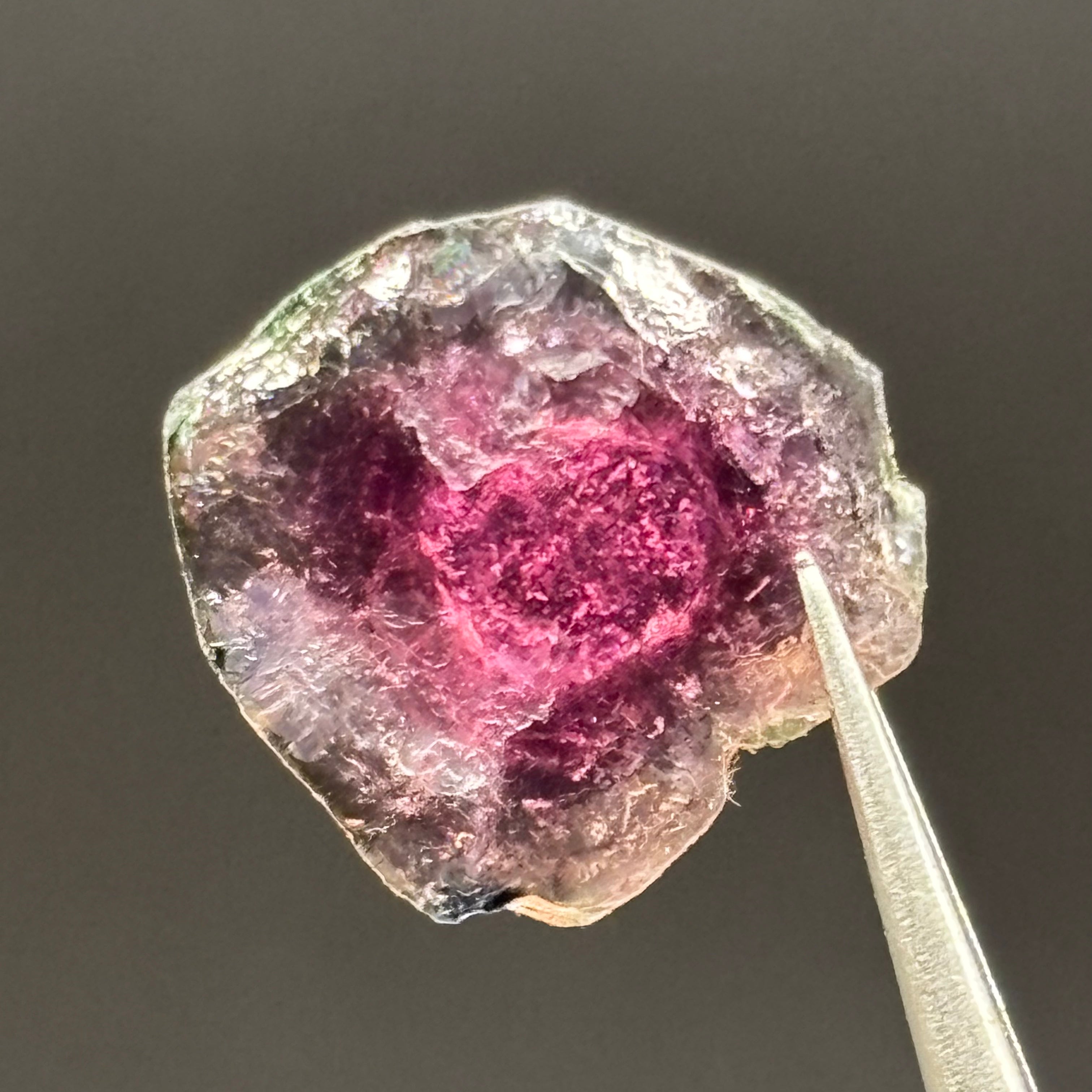 Watermelon Tourmaline Crystal Slice - 136