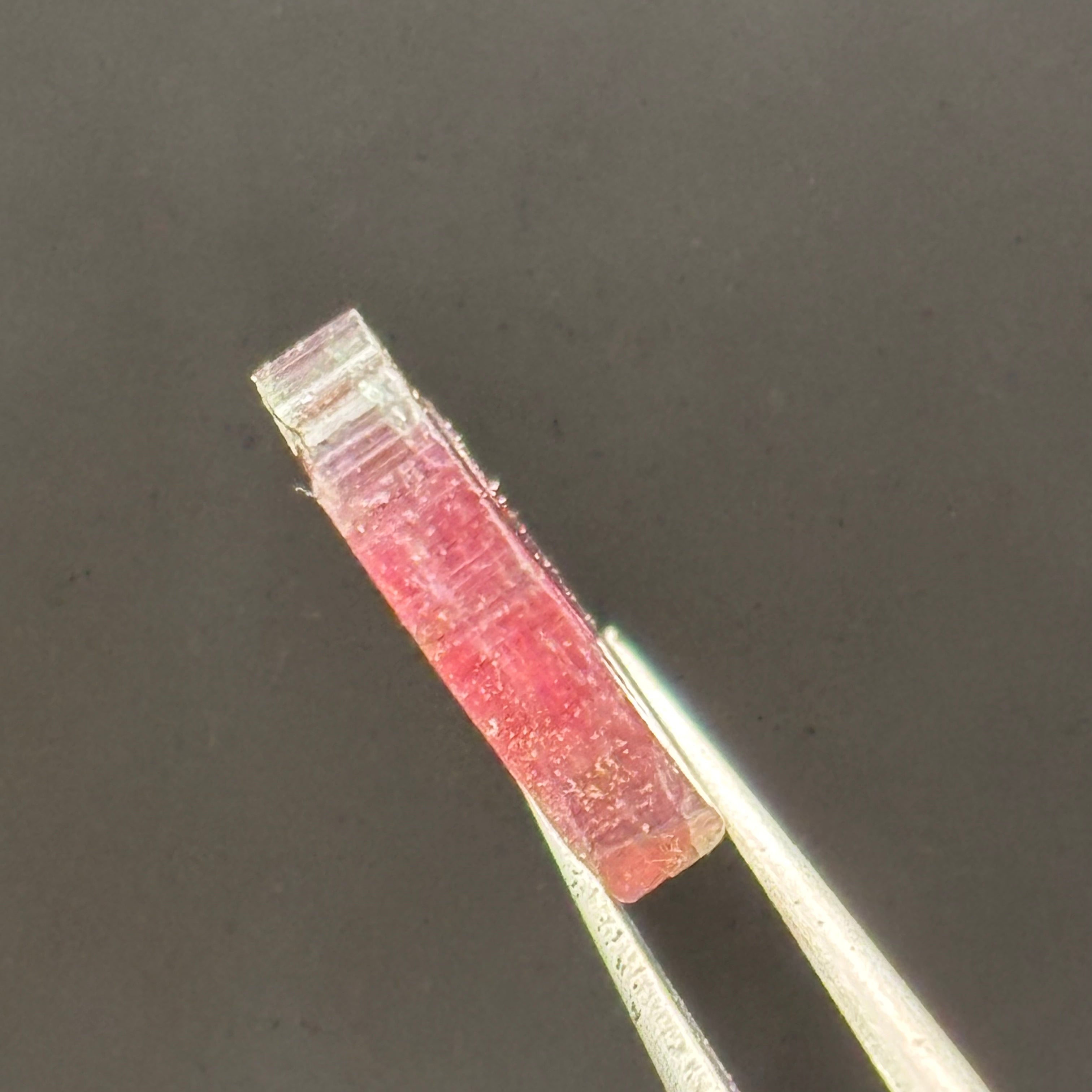 Watermelon Tourmaline Crystal Slice - 136