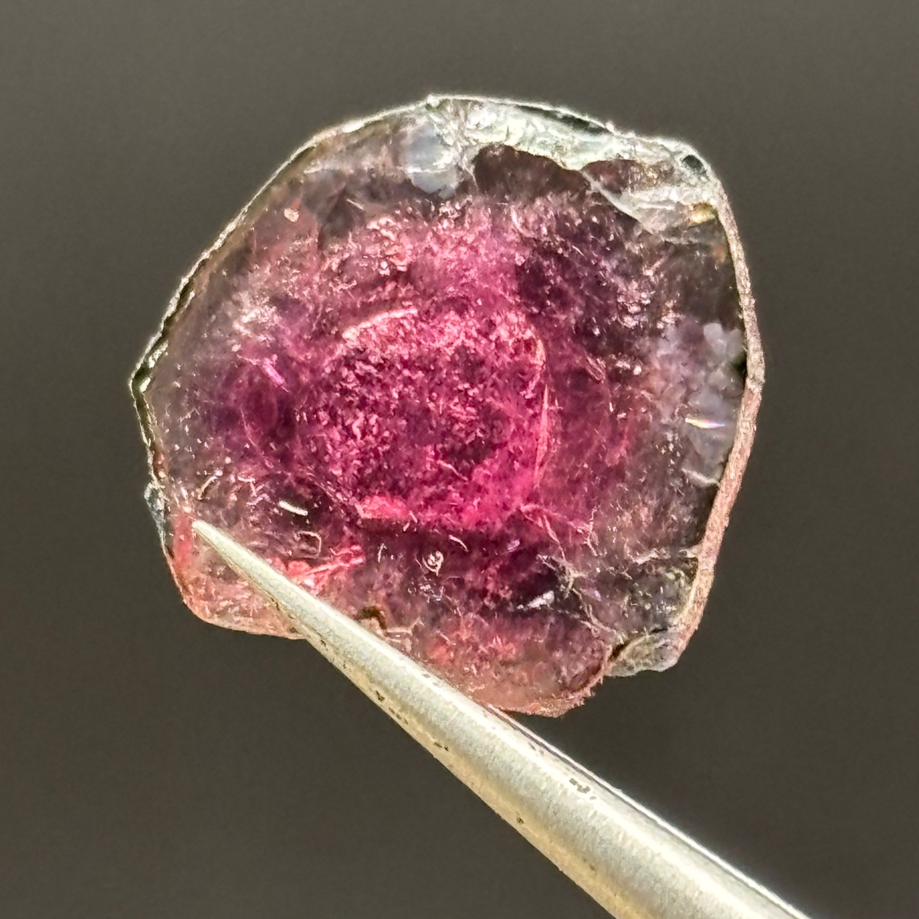 Watermelon Tourmaline Crystal Slice - 136