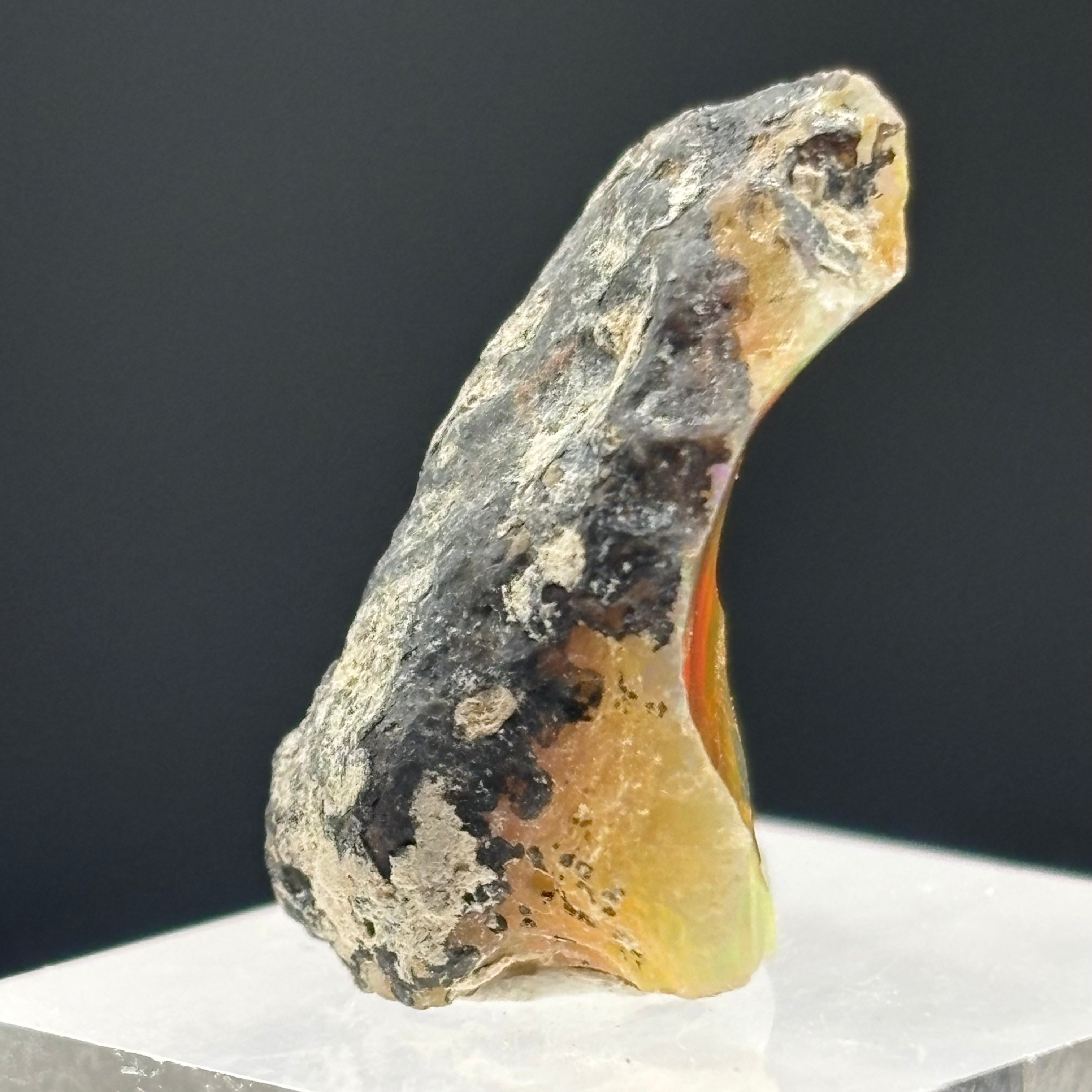 Welo Opal - 194