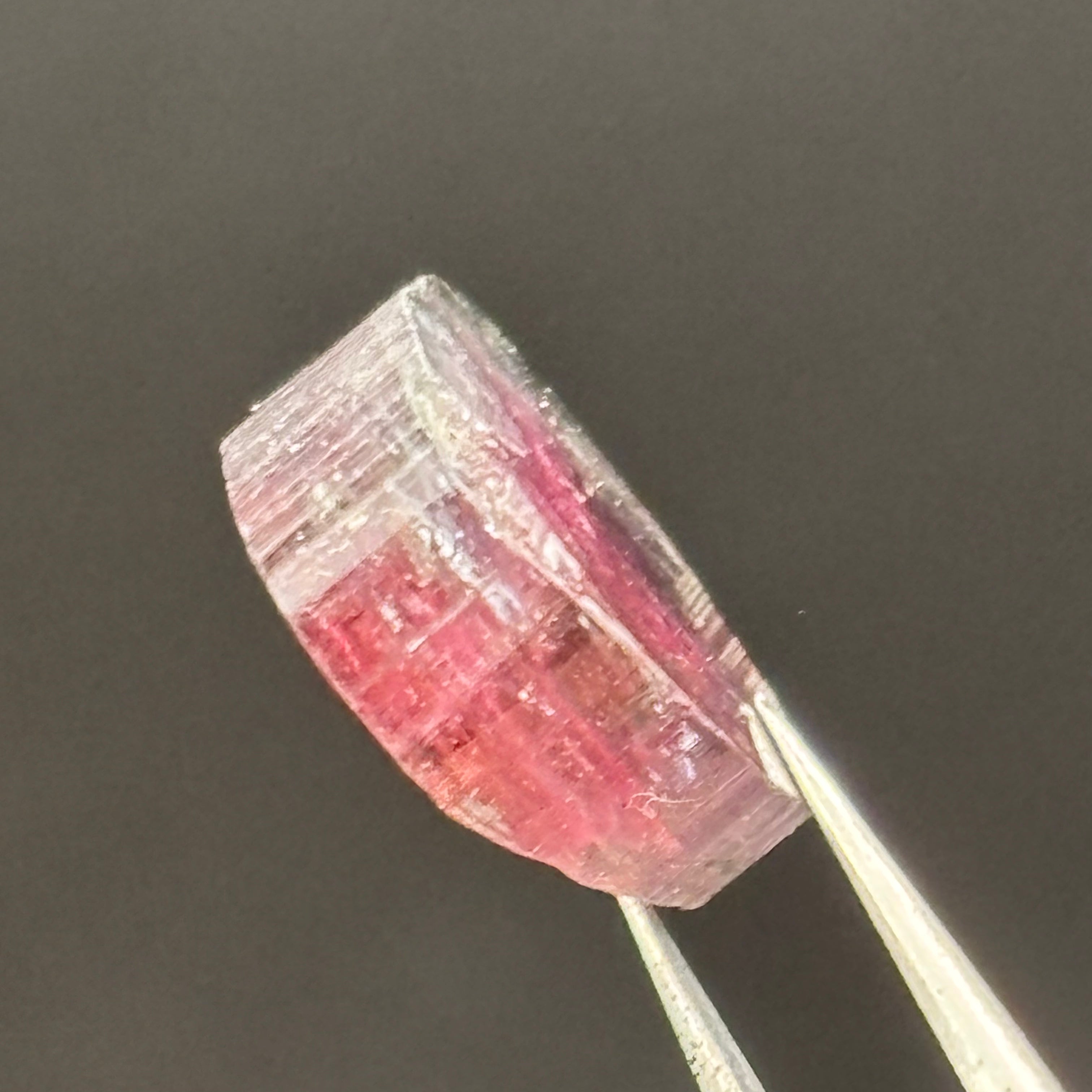 Watermelon Tourmaline Crystal Slice - 138